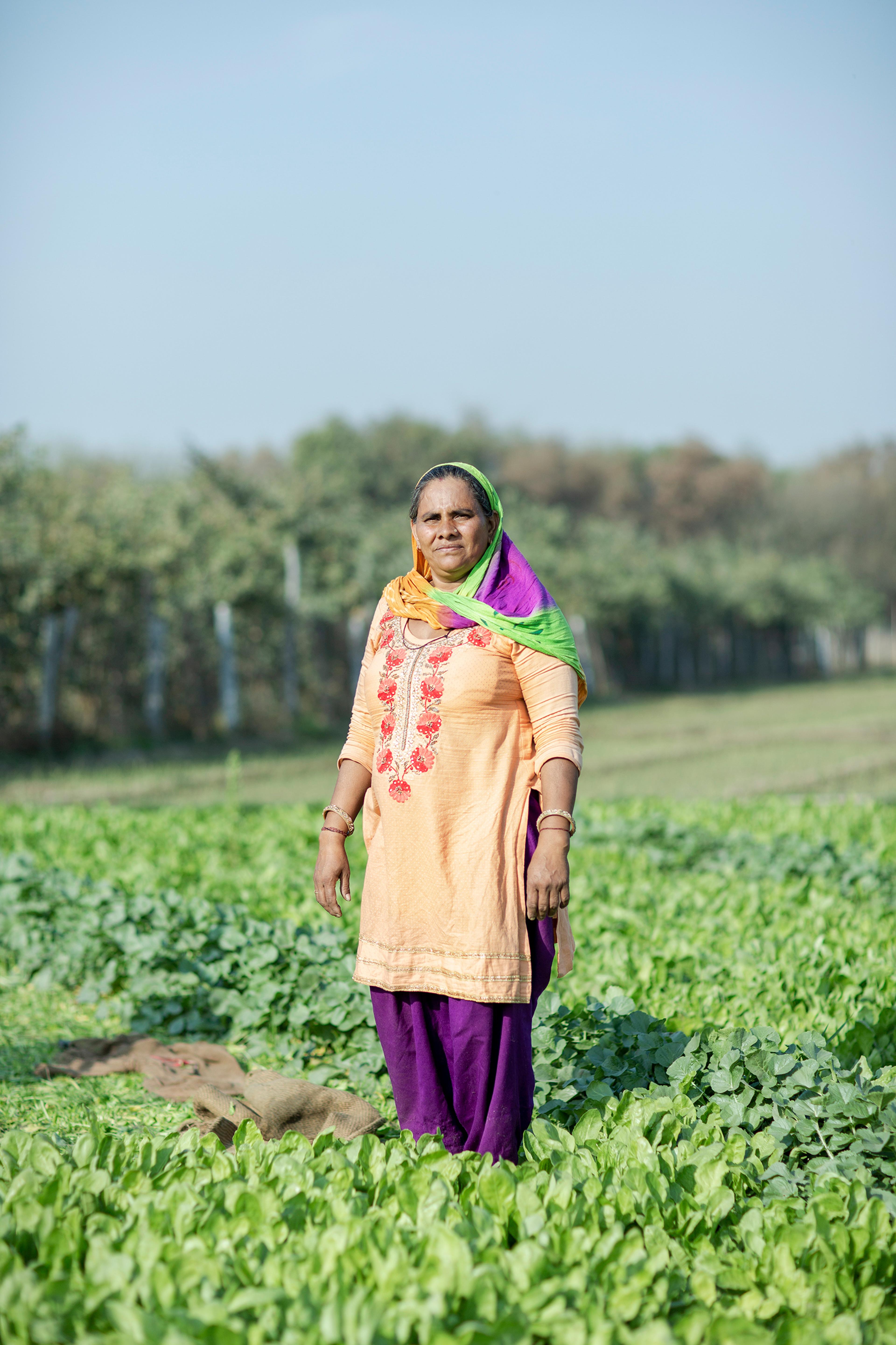 Urmila Devi, 41, works in the fields with her husband in Bahadurgarh village near the Tikri site. “Both of us get it done together. I don’t know about rights,” she says. “I have never thought about it too much. There’s a family to run and mouths to feed.”