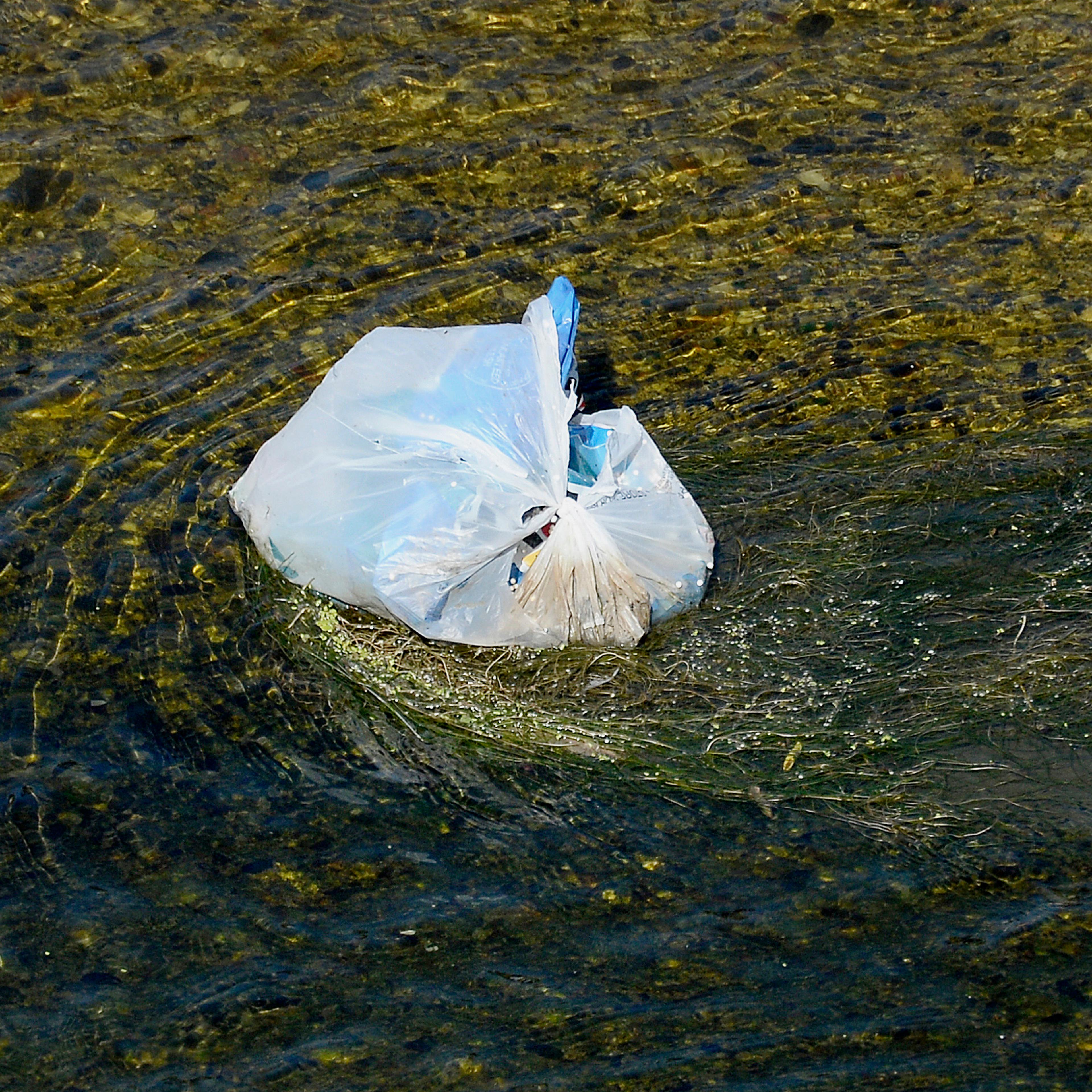Grocers Lobby To Make California First State To Ban Plastic Bags