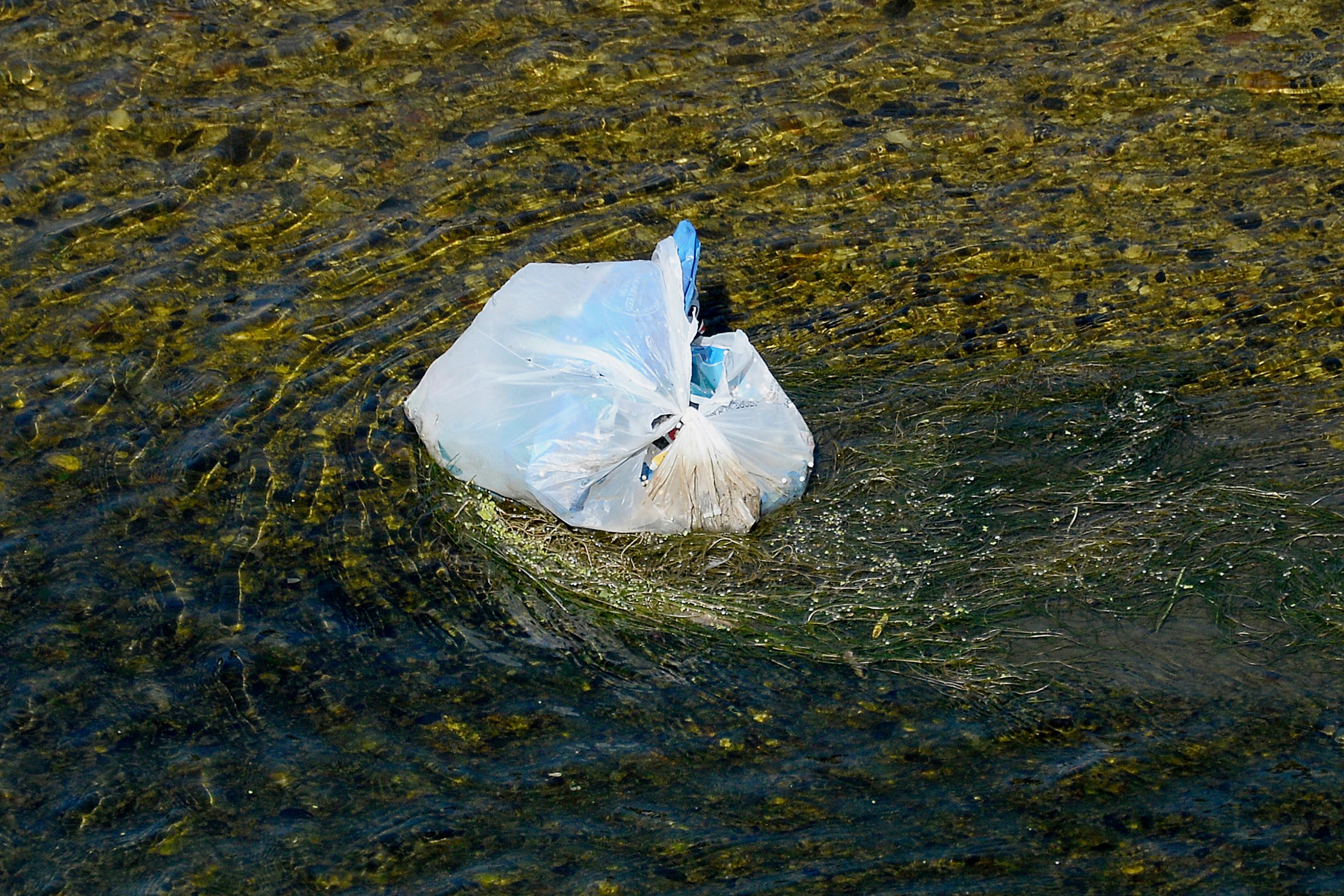 Grocers Lobby To Make California First State To Ban Plastic Bags