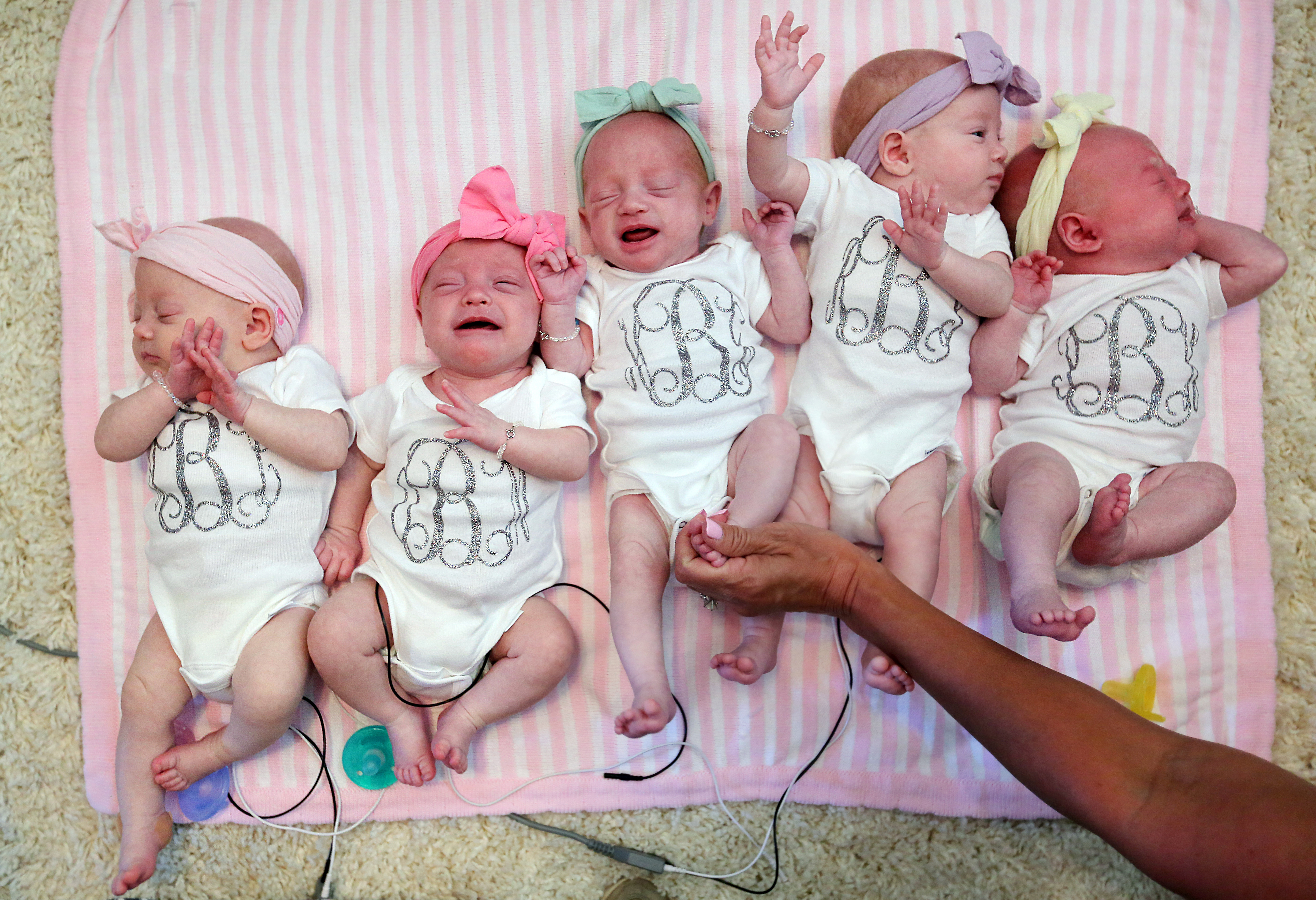 Female Quintuplets