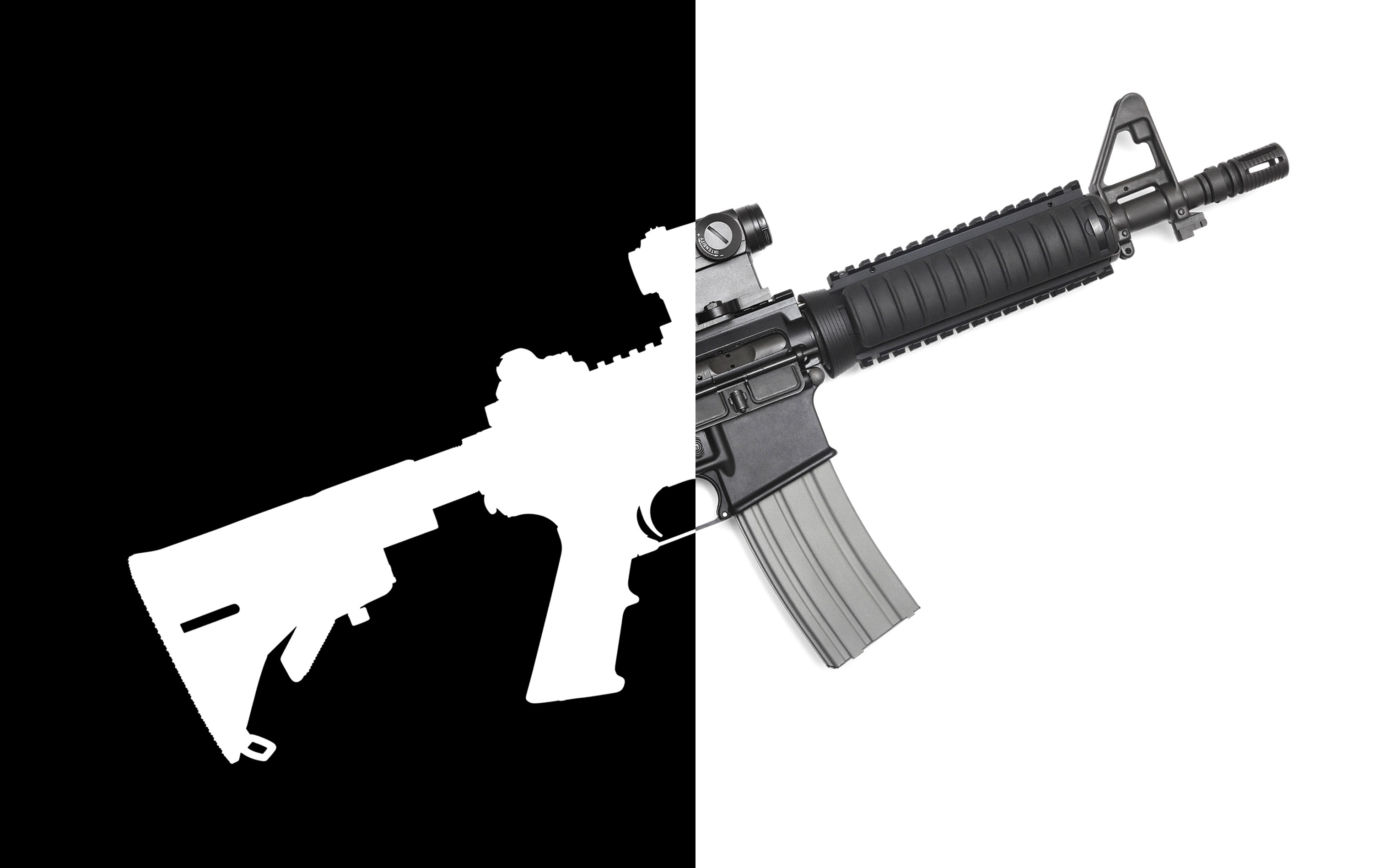 The Gun Divide