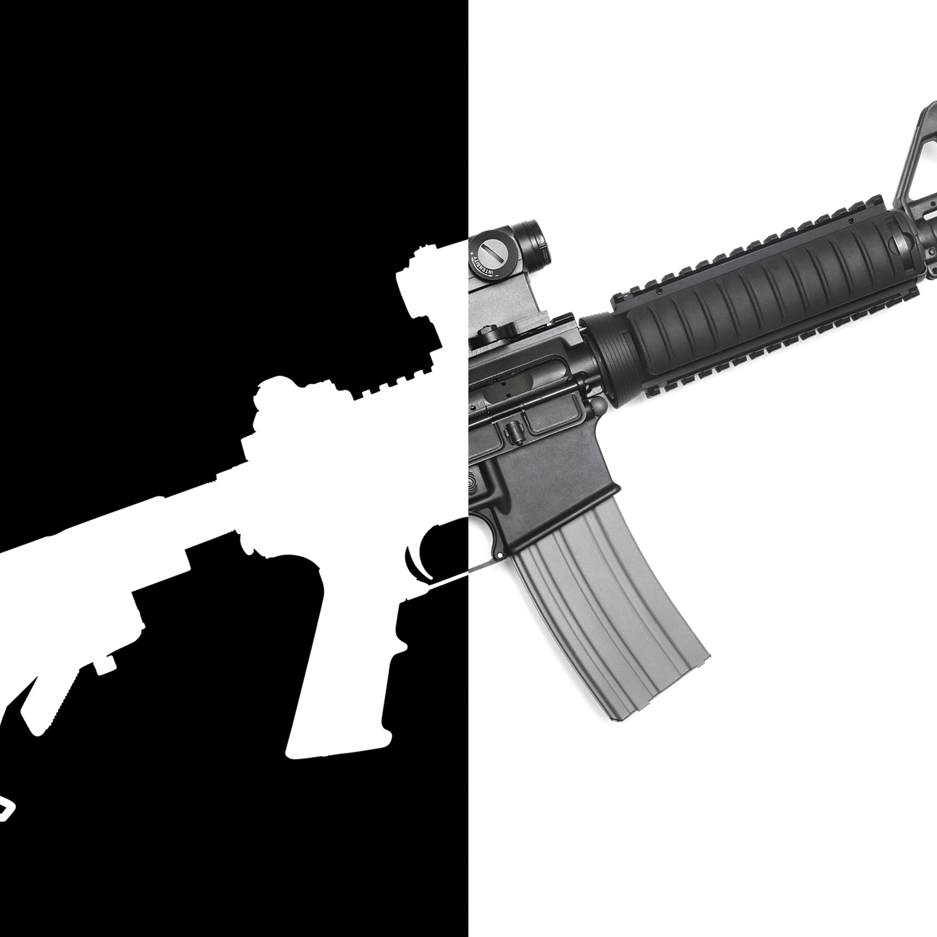 The Gun Divide
