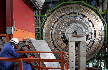 Did a Time-Traveling Bird Sabotage the Collider?