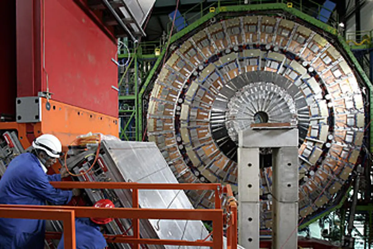 Colldor Did a Time-Traveling Bird Sabotage the Collider?