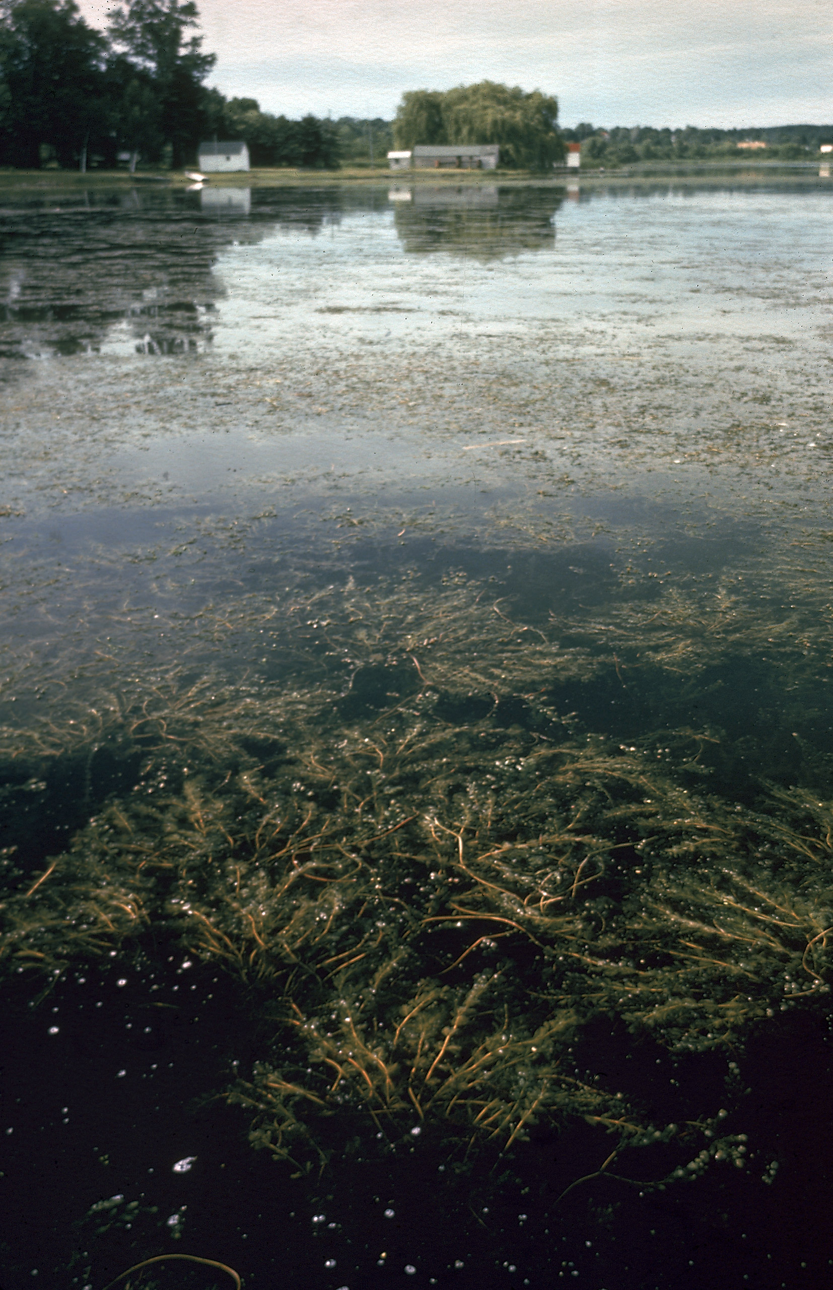 Earth Day 2017: Jarring Photos of Polluted Great Lakes