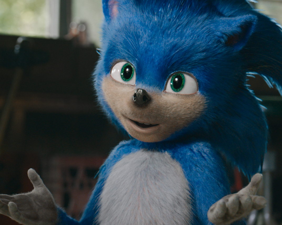 SONIC THE HEDGEHOG