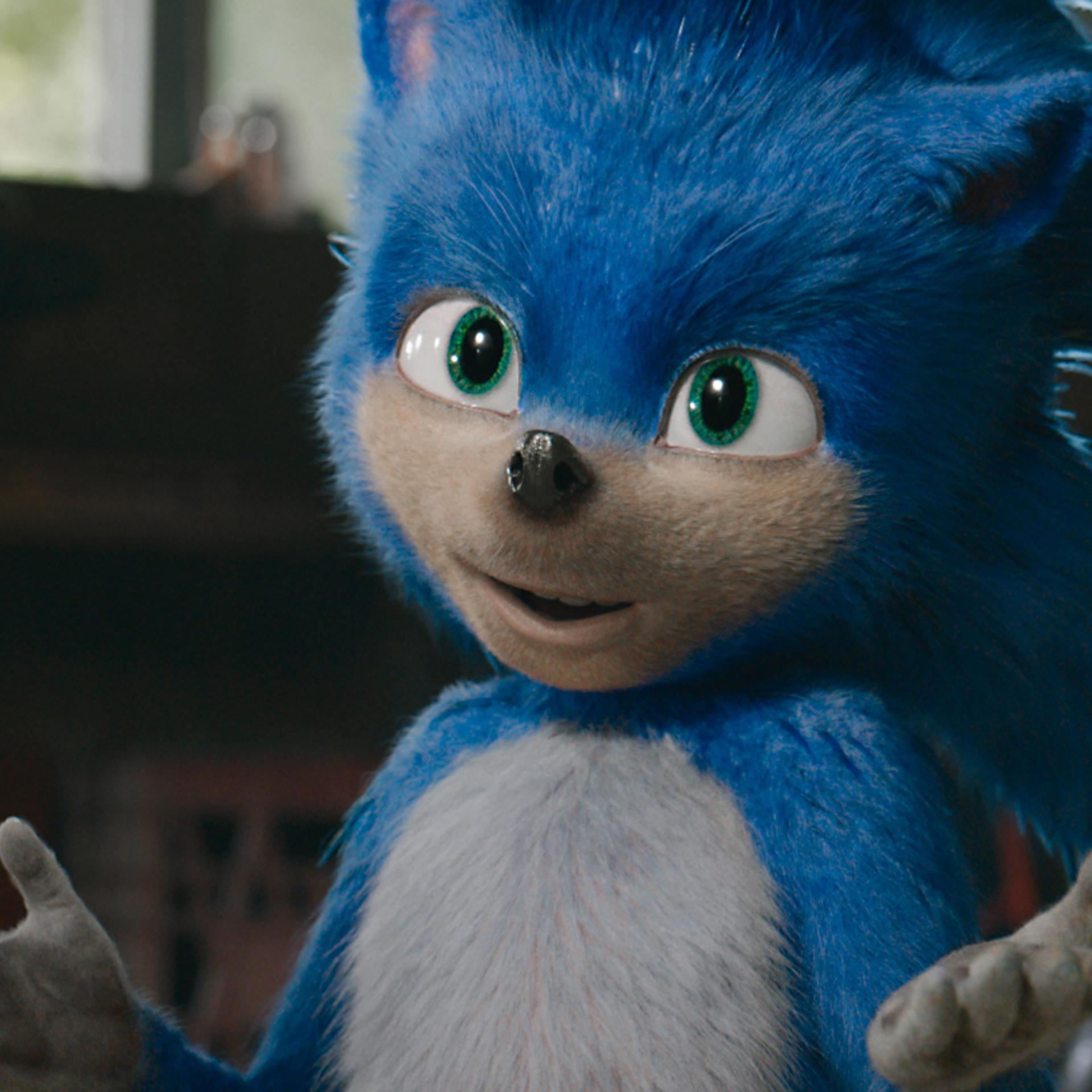 SONIC THE HEDGEHOG