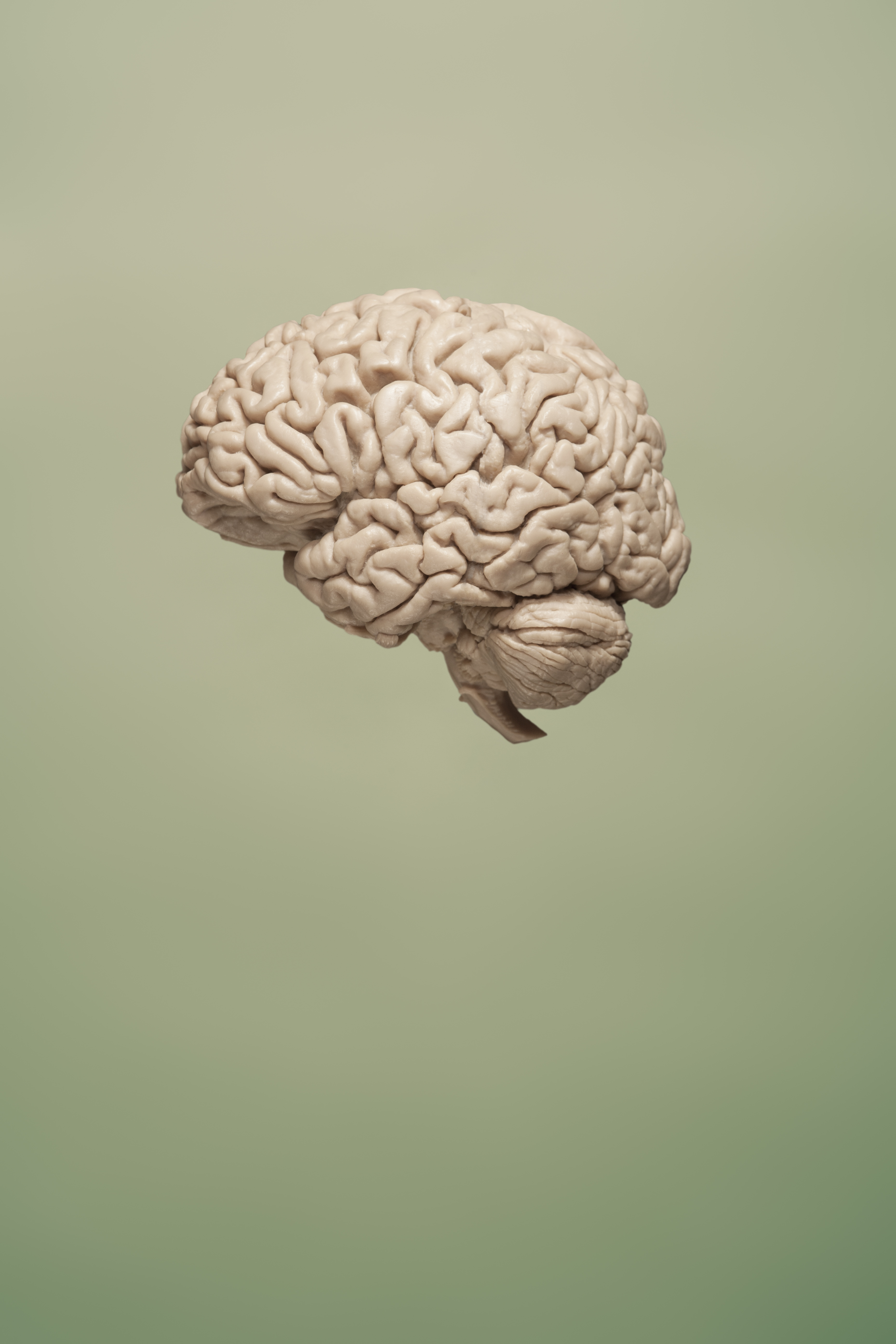 brain-green-background