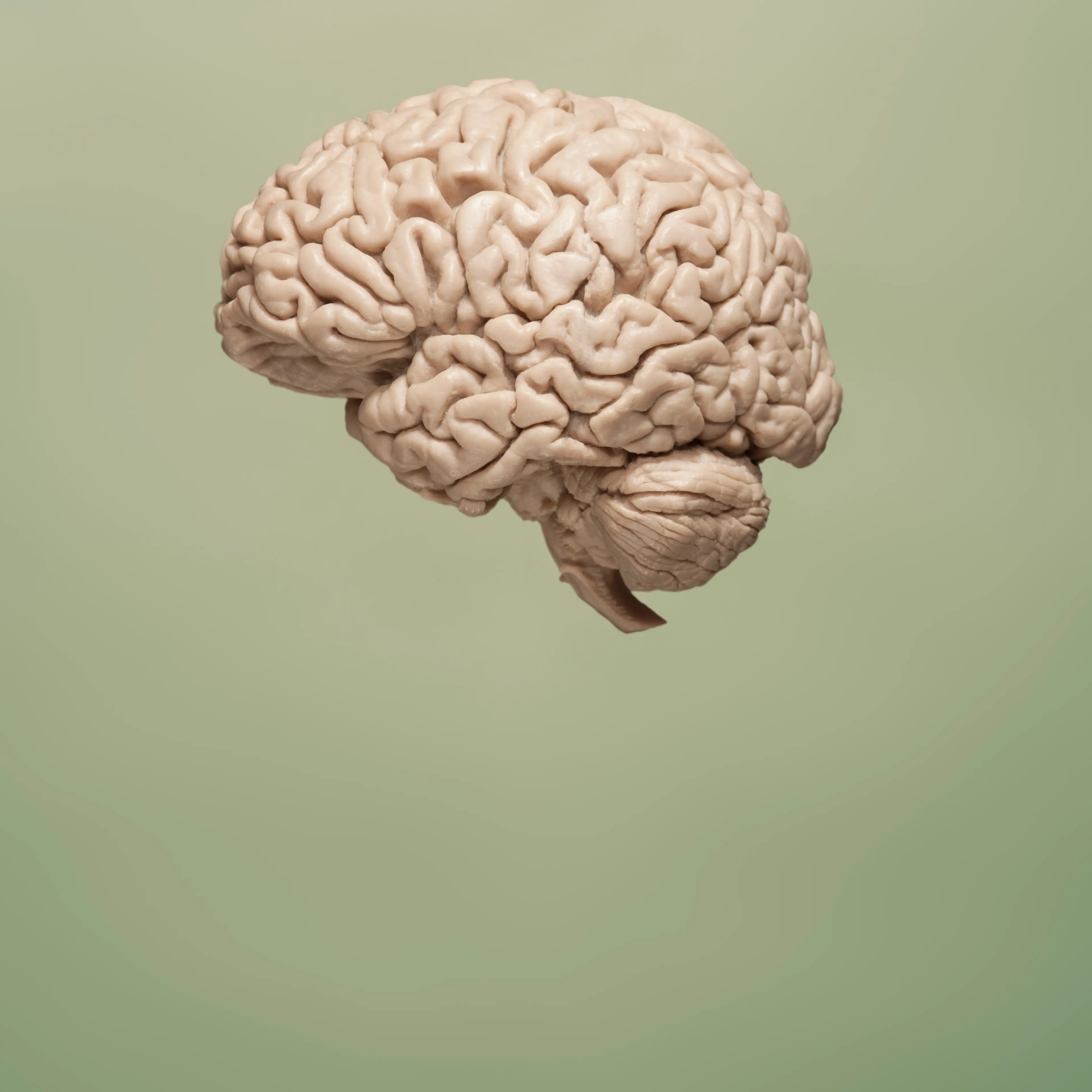 brain-green-background