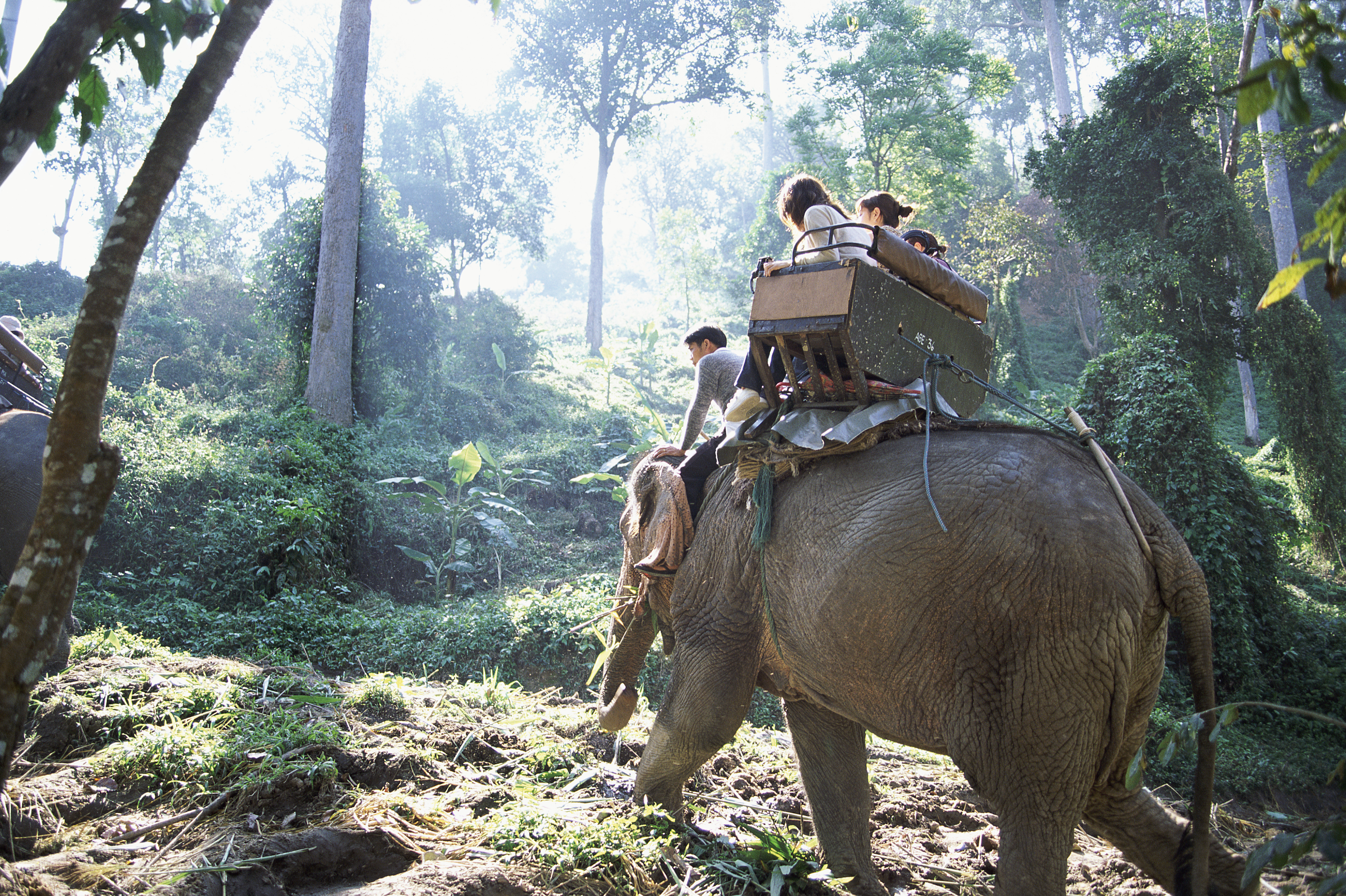 people-sitting-elephant