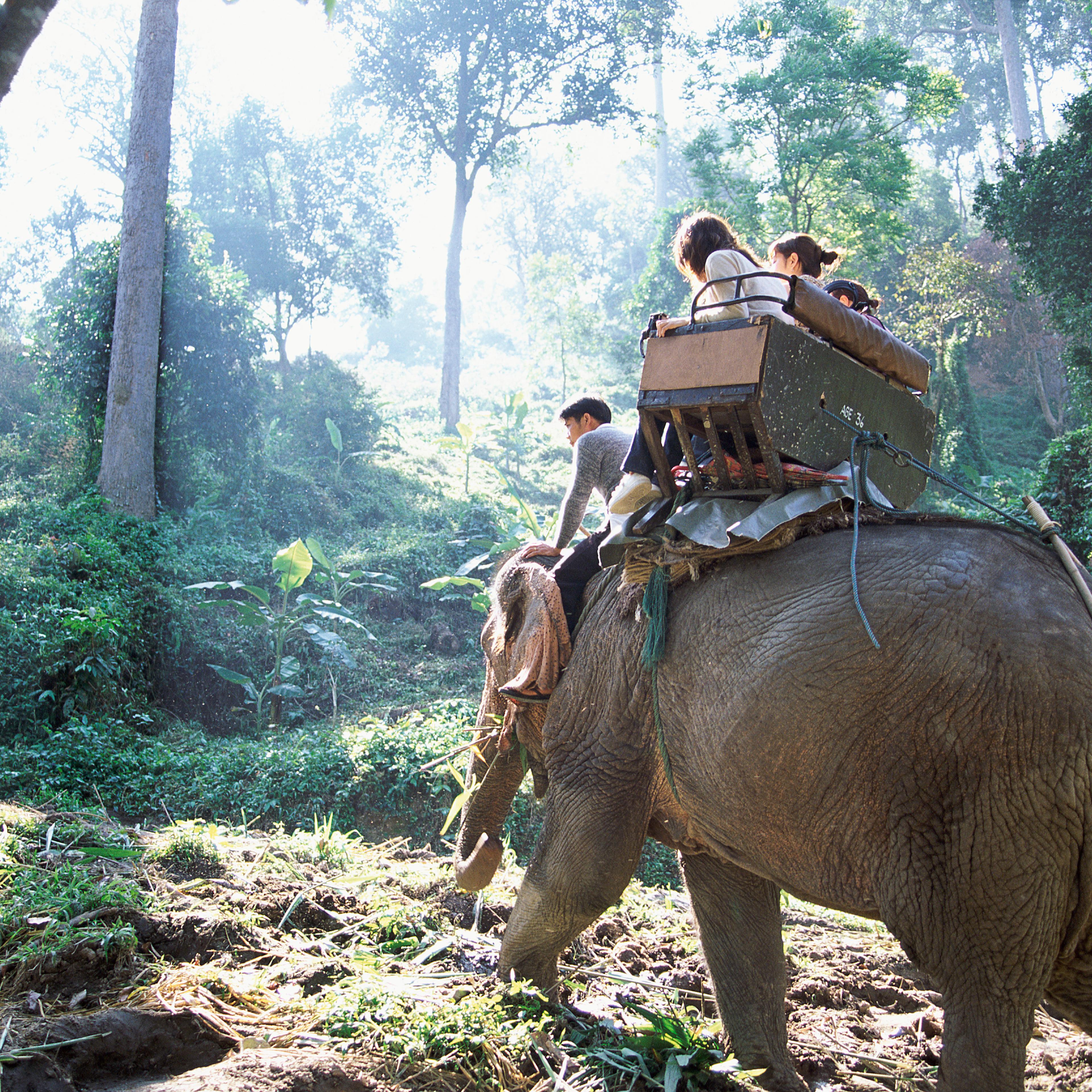 people-sitting-elephant