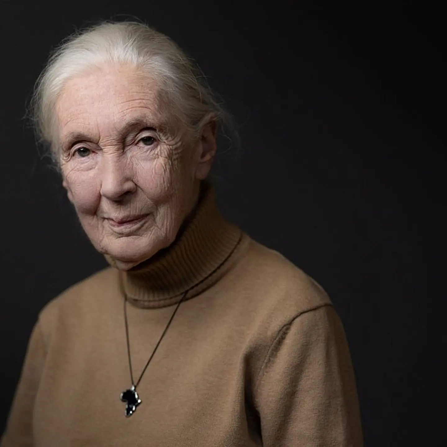 British ethologist and primatologist Jane Goodall