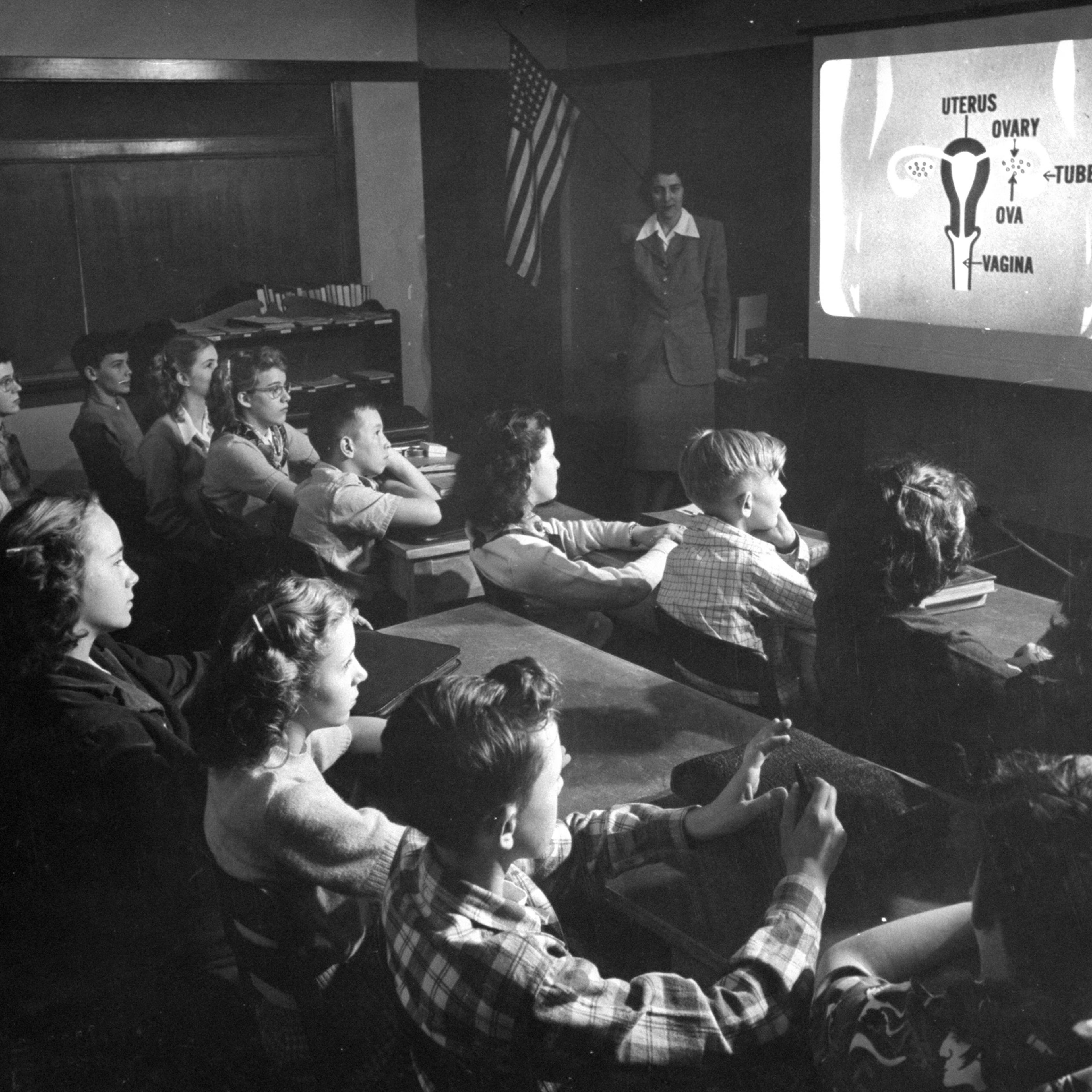 In Oregon classroom, the seventh grade watches sex-education movie.