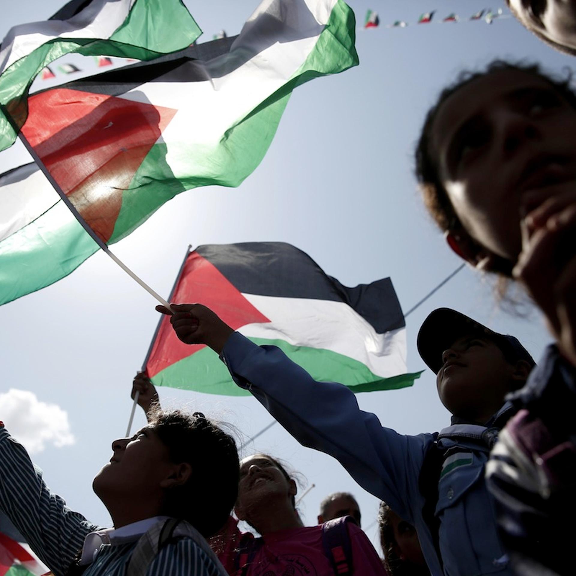 PALESTINIAN-UN-FLAG