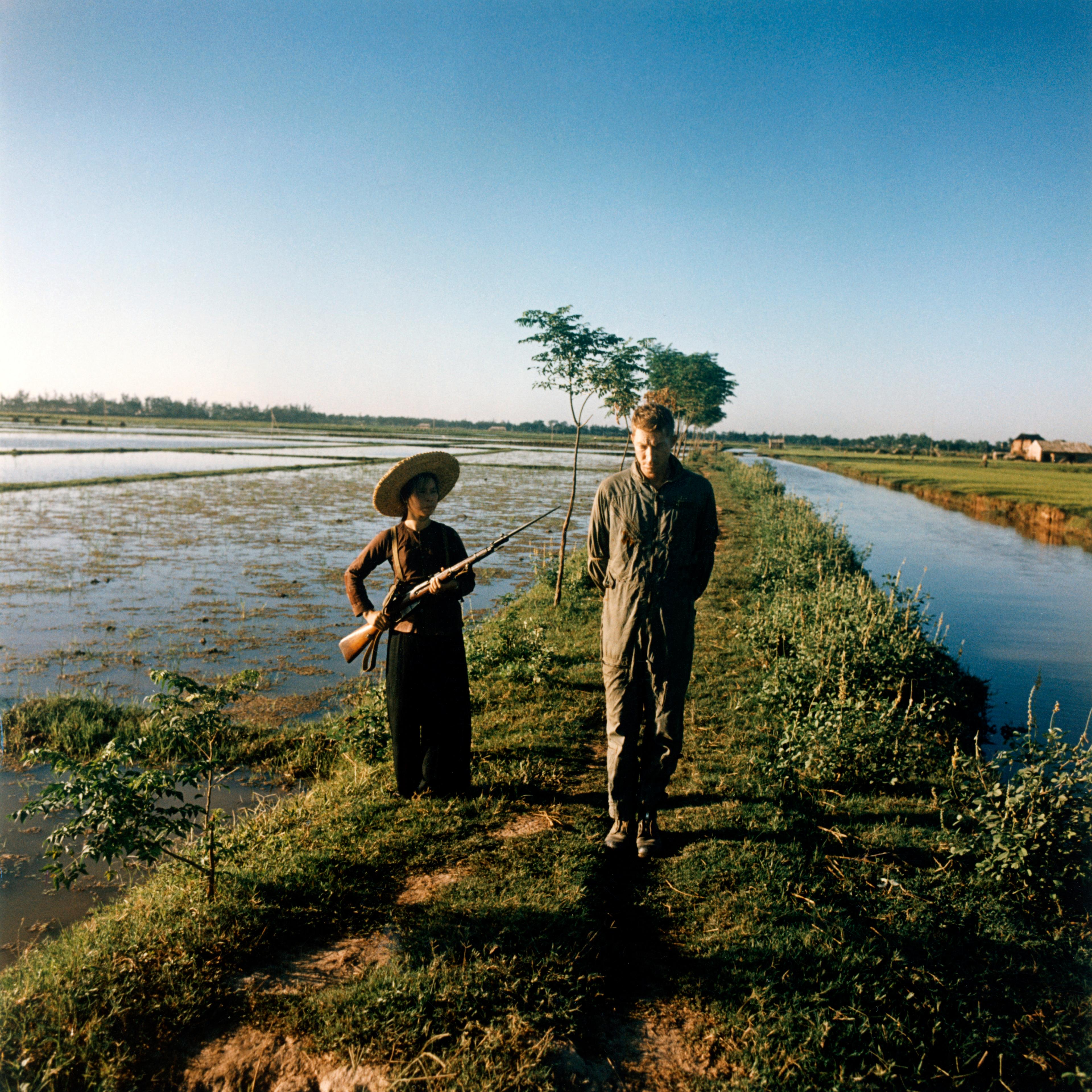 The captured US pilot major Pewey Waddell is being guarded by a militiawoman with a gun and a bayonet on a rice field - 1967