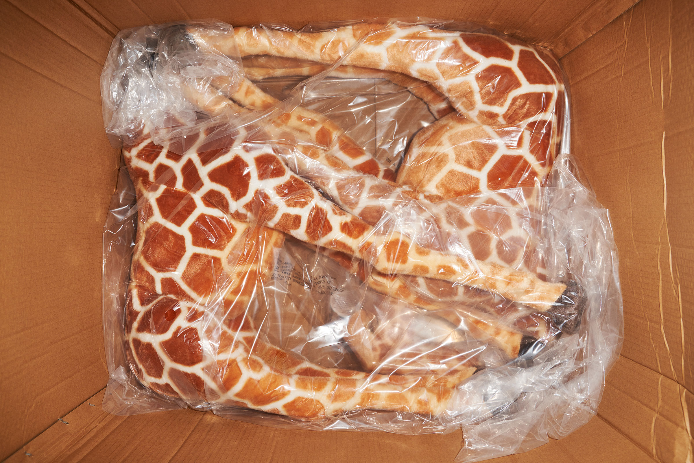 Why Is Inflation Rising Right Now? A Stuffed Toy Shows Why