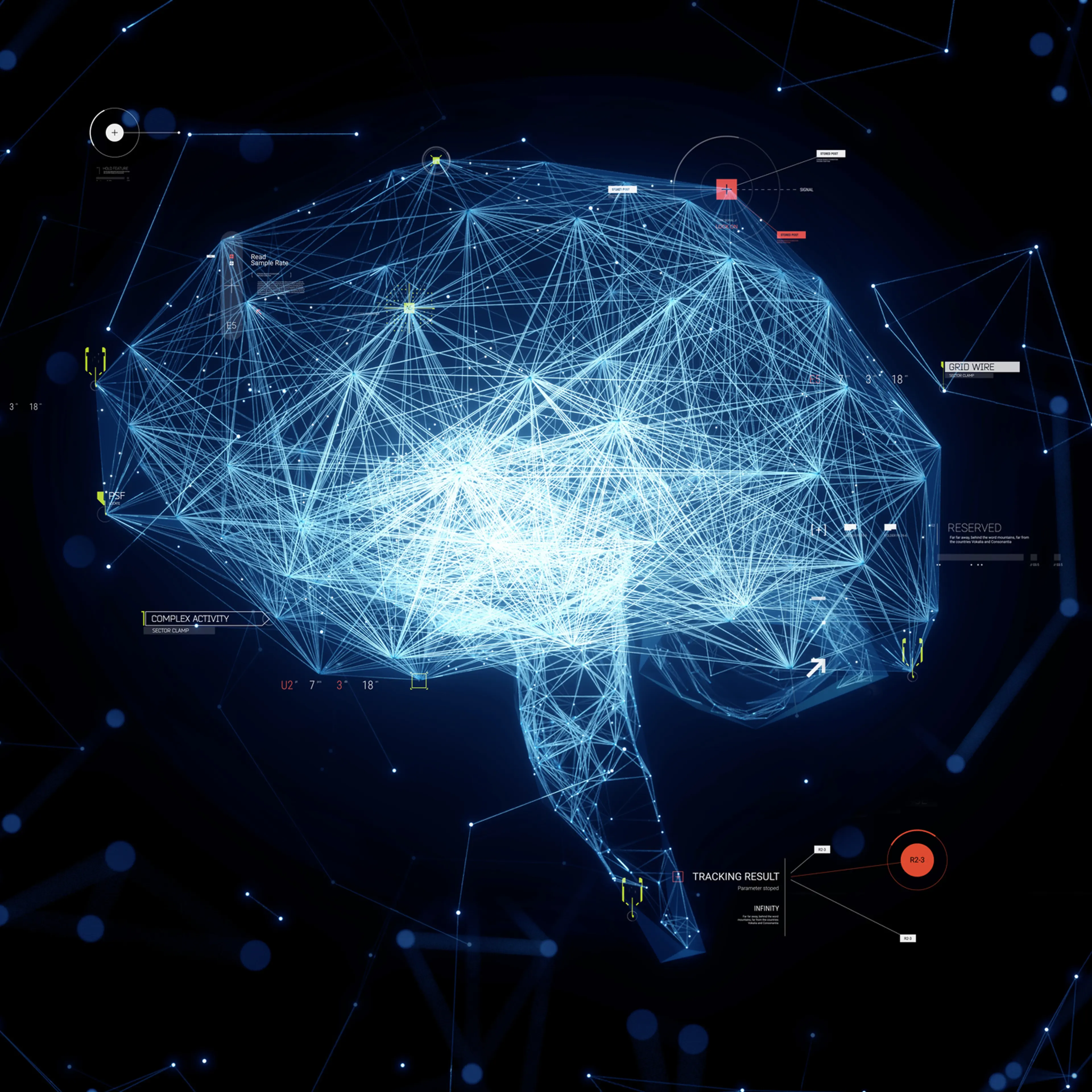 Digital Brain