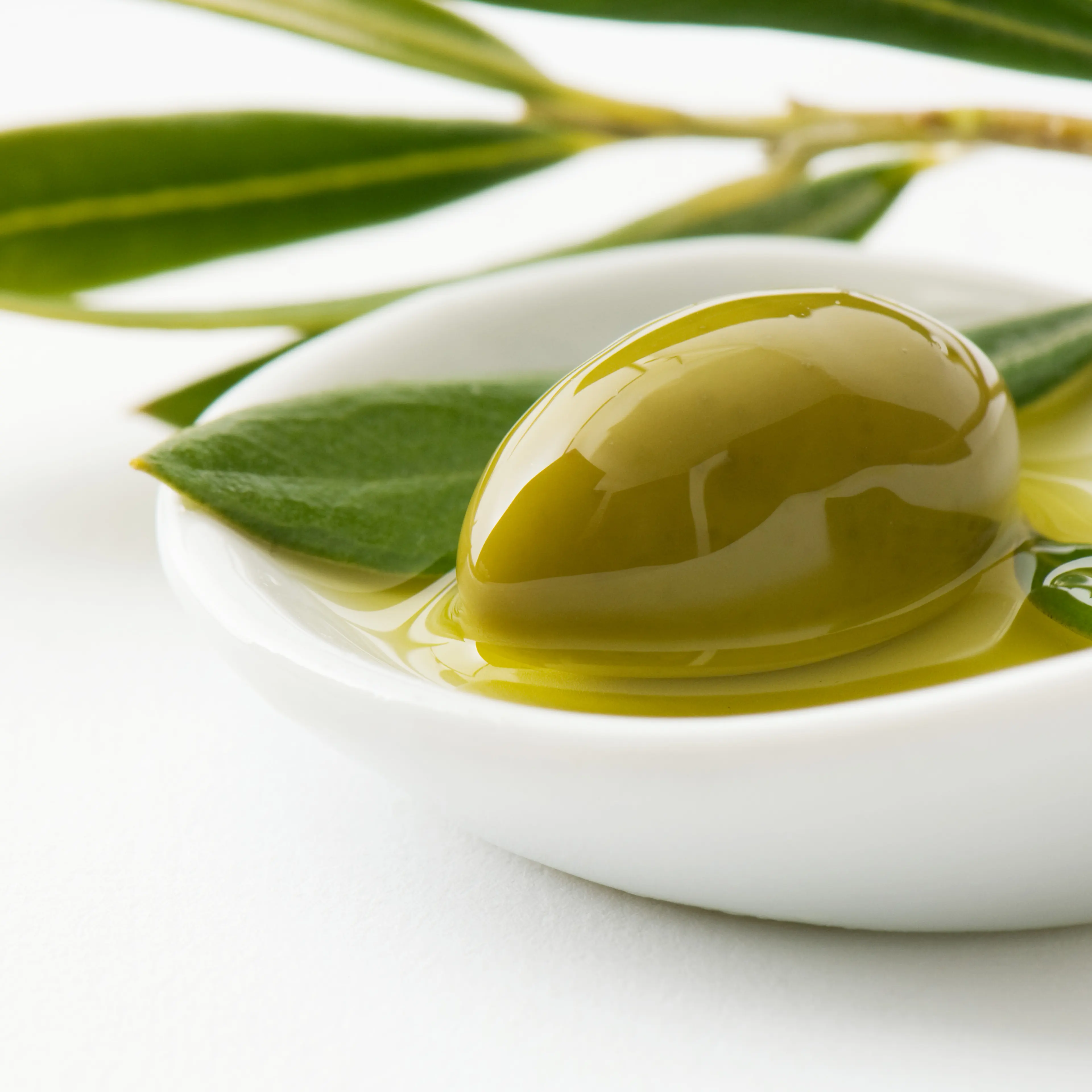 Green olive and sprig of leaves in small dish of olive oil, close-up