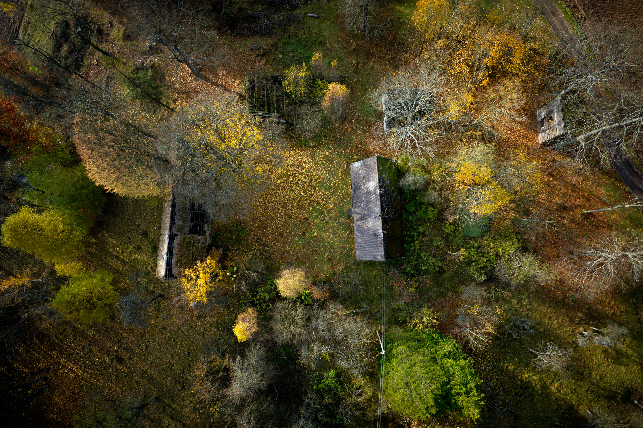 See Amazing Aerial Views of Fall Foliage in Poland