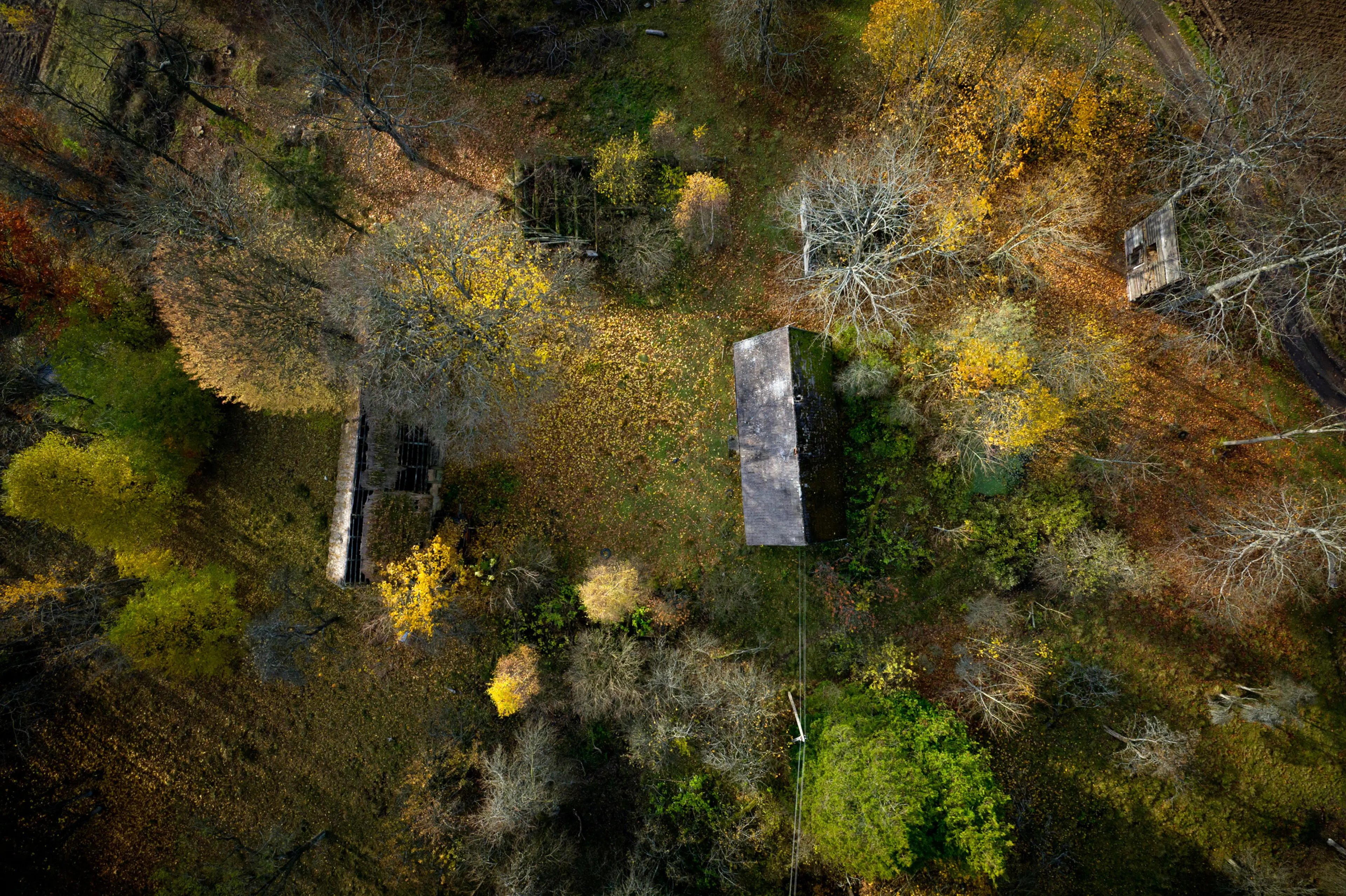 Fall In Poland See Amazing Aerial Views of Fall Foliage in Poland