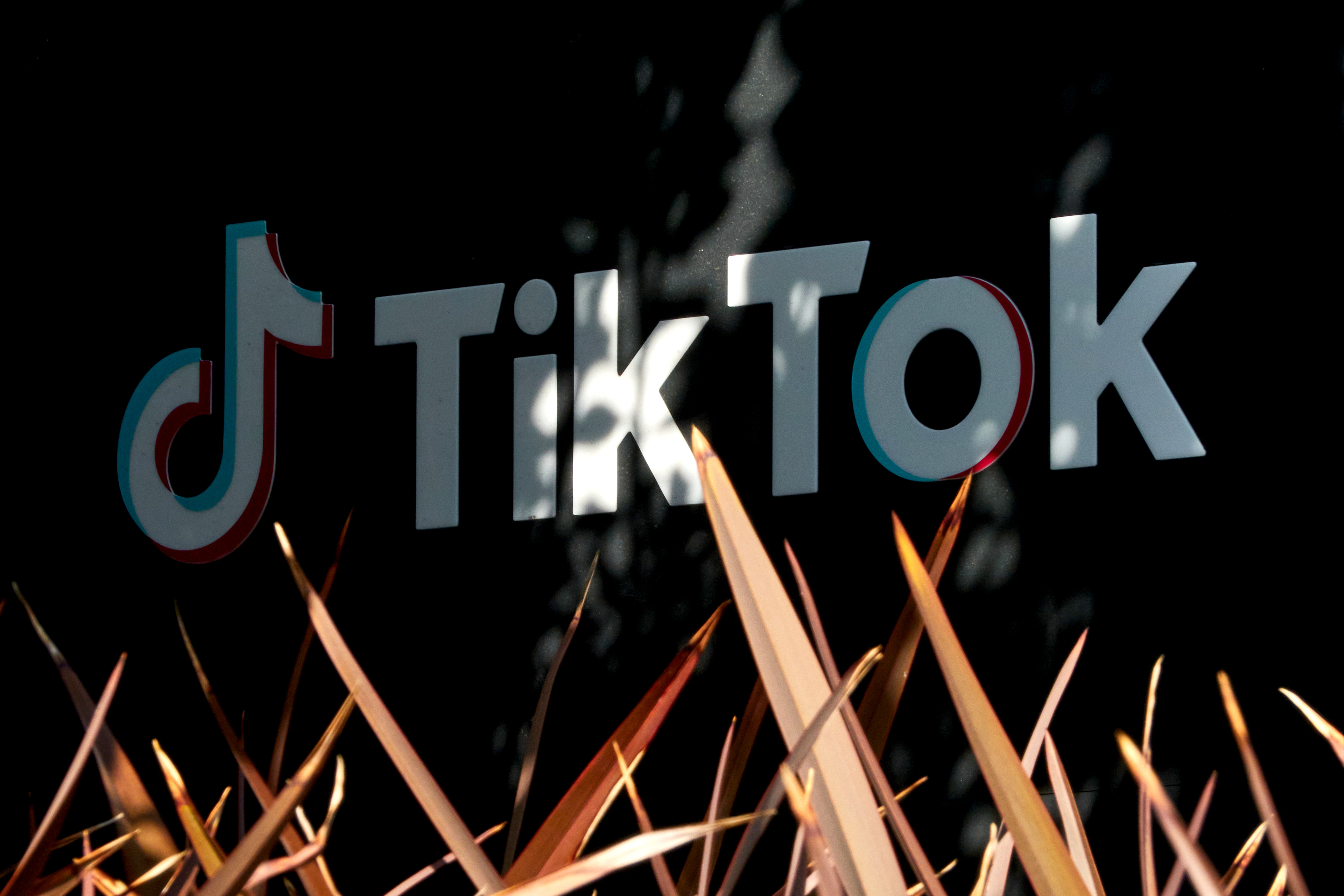 TikTok's Culver City Offices After US House Passes Ban Bill