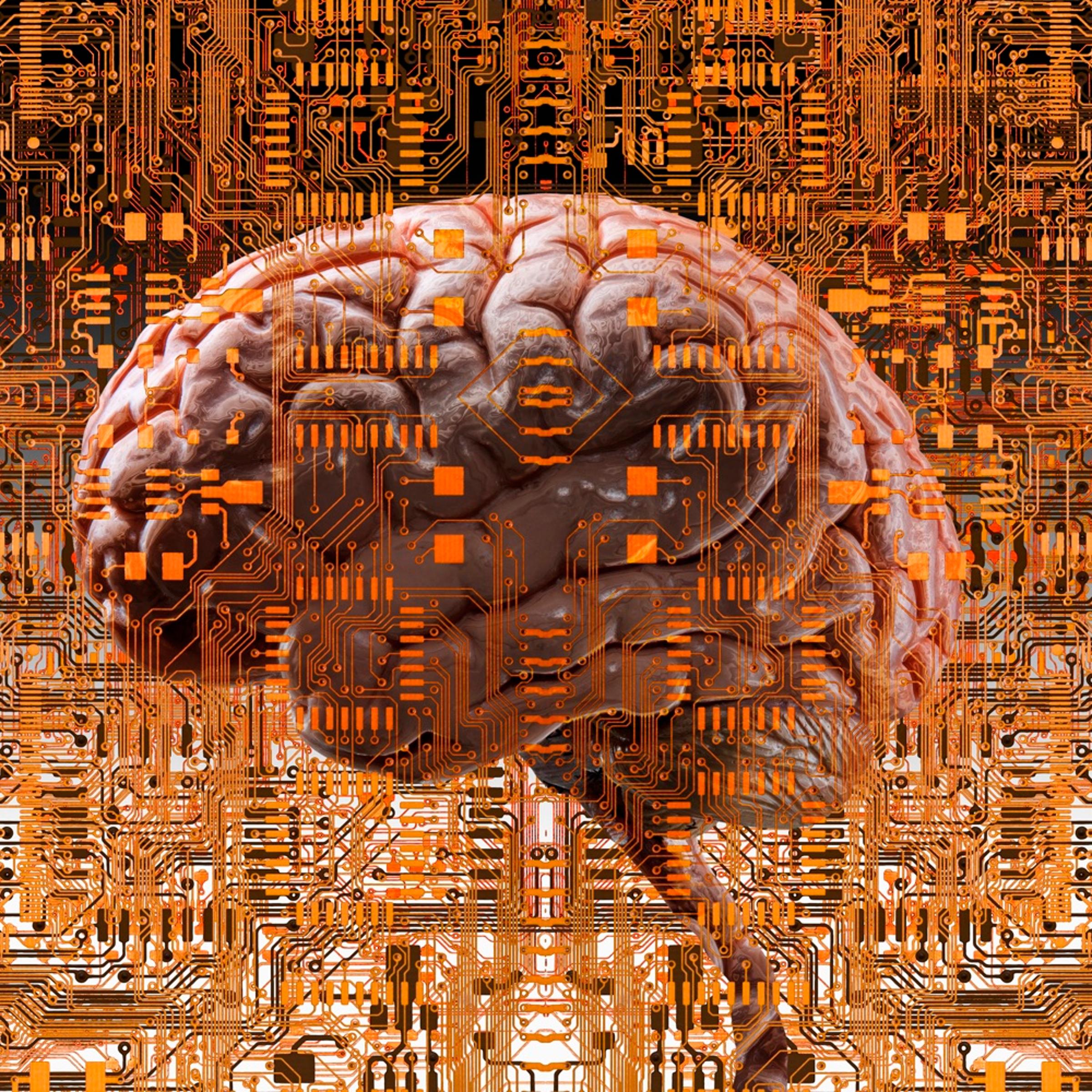 Brain under layers of circuit boards