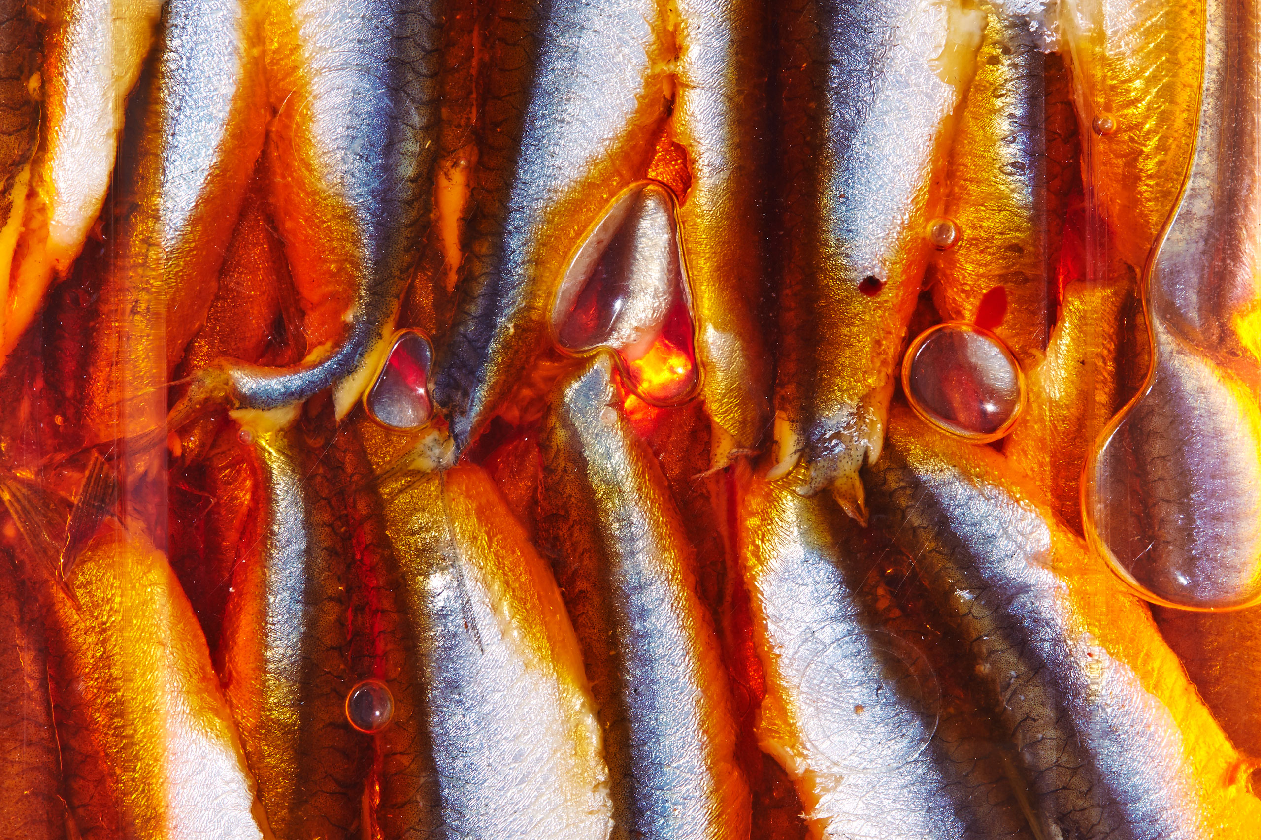 healthiest foods, health food, diet, nutrition, time.com stock, anchovies, fish