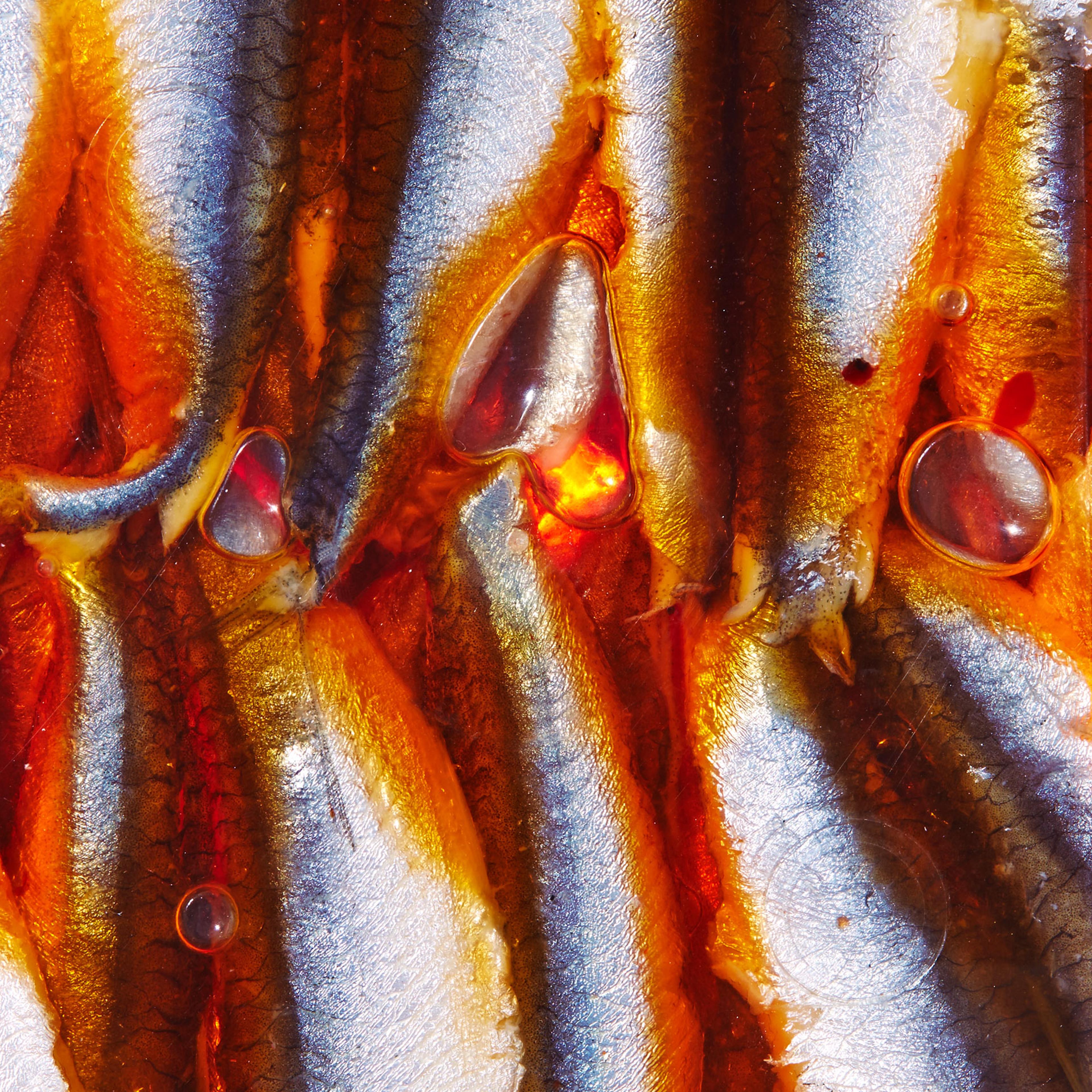 healthiest foods, health food, diet, nutrition, time.com stock, anchovies, fish