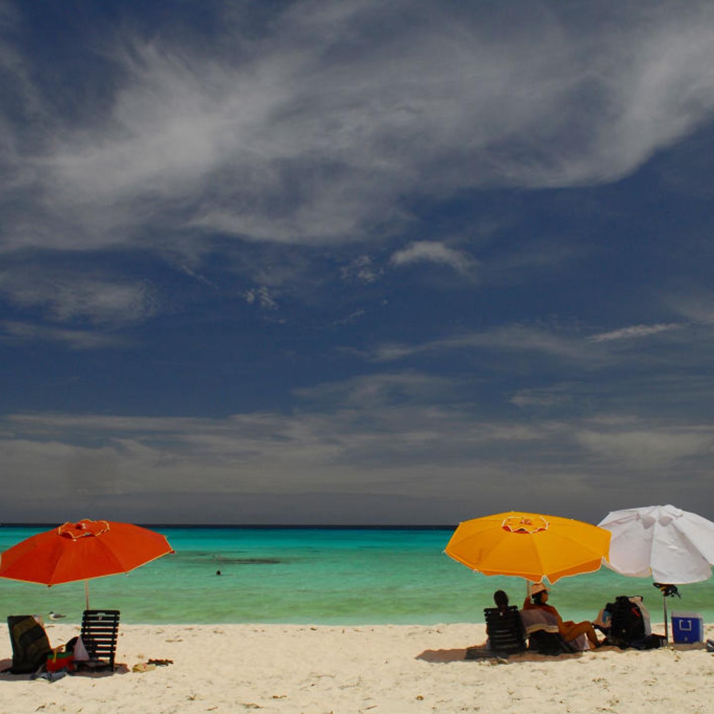 A new study found that 56% of the global ocean experienced color change between 2002 and 2022, with tropical oceans near the equator becoming greener.