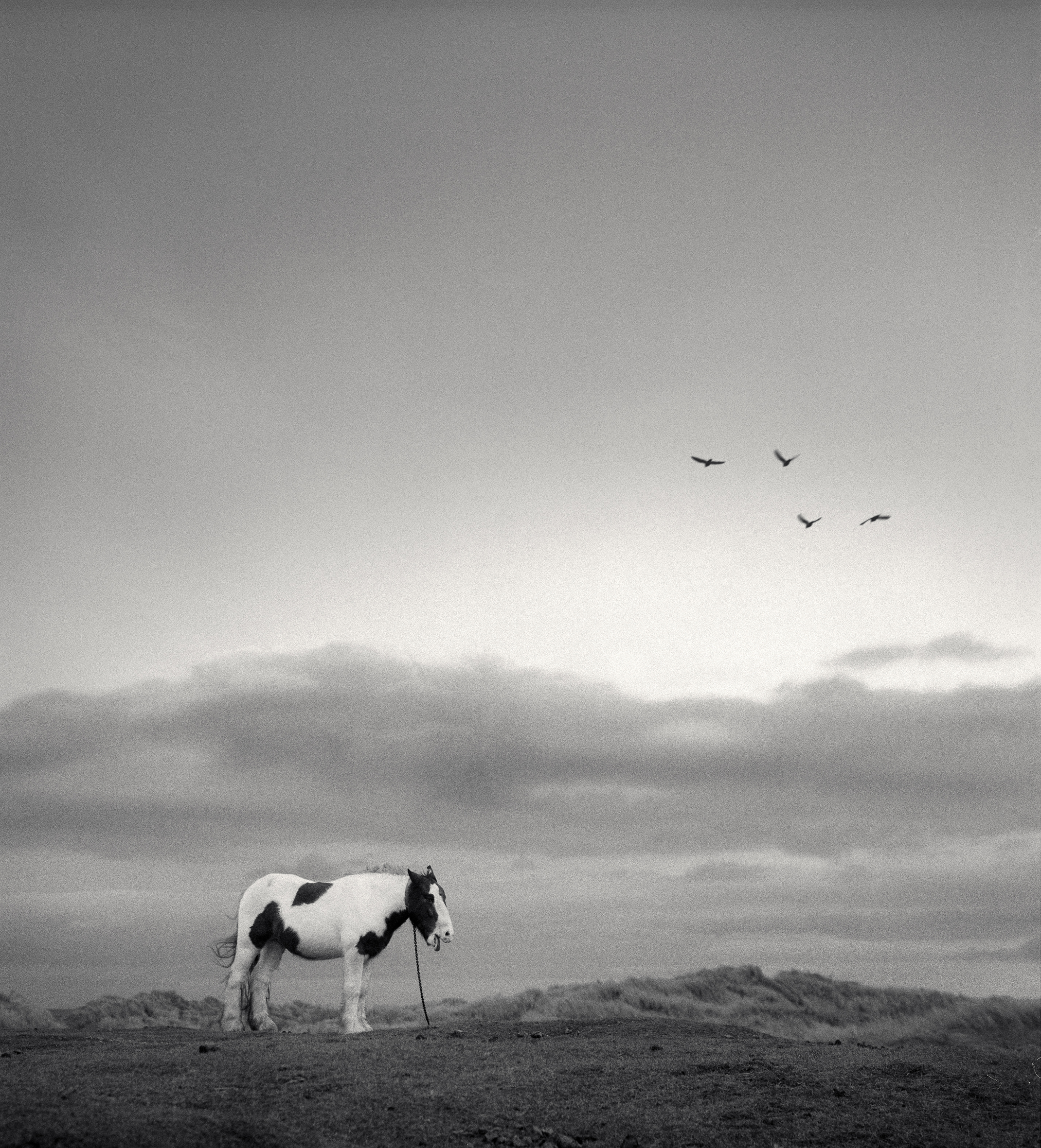 Here Far Away: The Visual Fables of Pentti Sammallahti