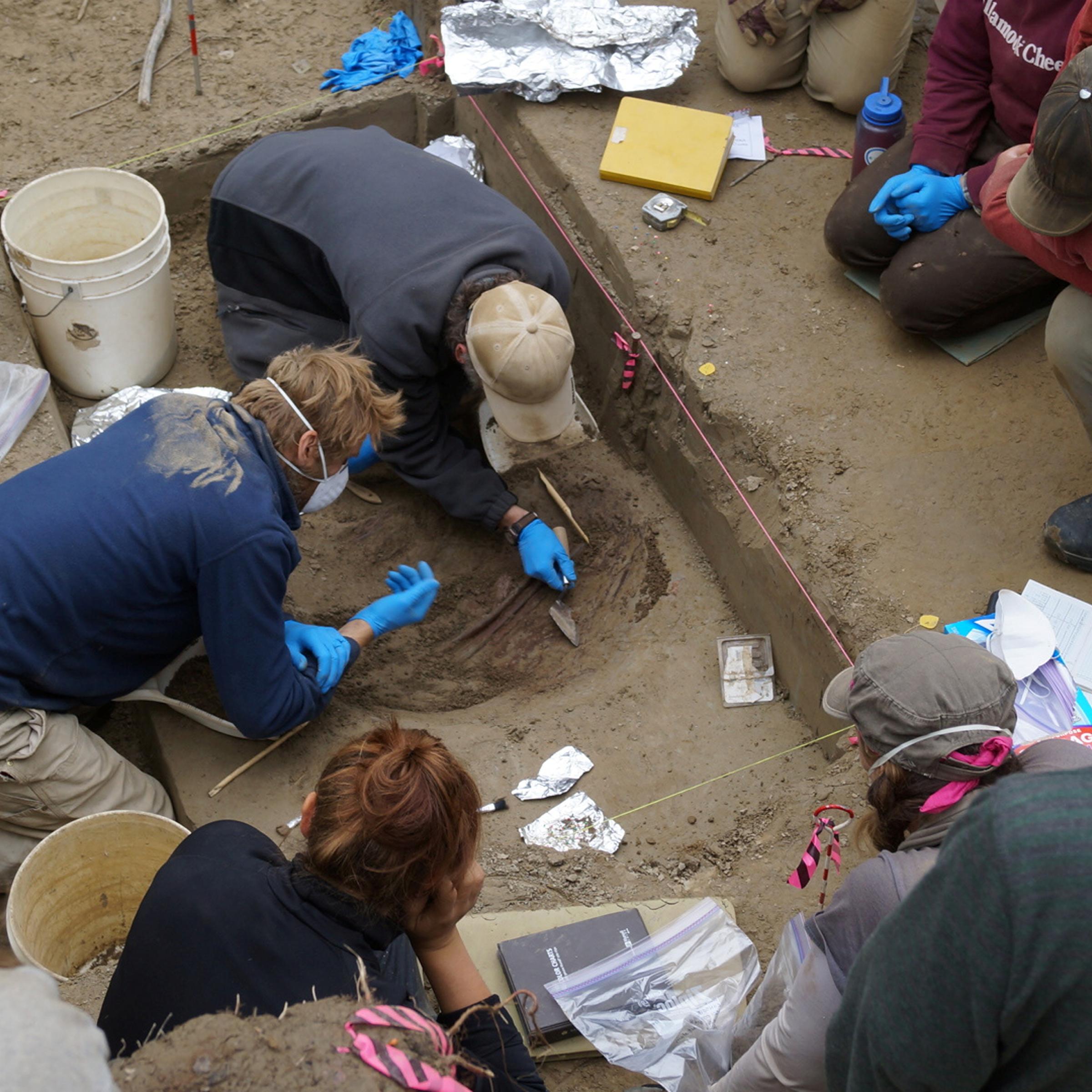 Scientists work on the excavation site of the 11,500-year-old remains of two infant girls in Tanana Valley