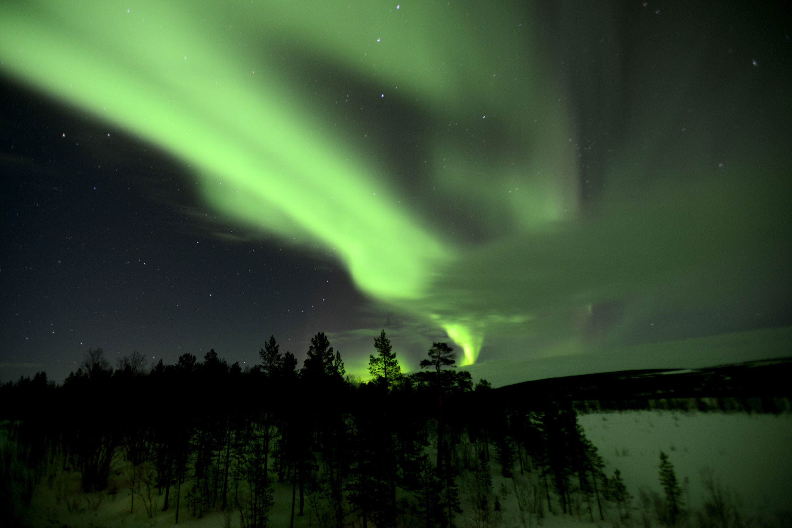The Northern Lights, or the Aurora Borealis, shining bright over a forest in Murmansk region, on March 14, 2015.