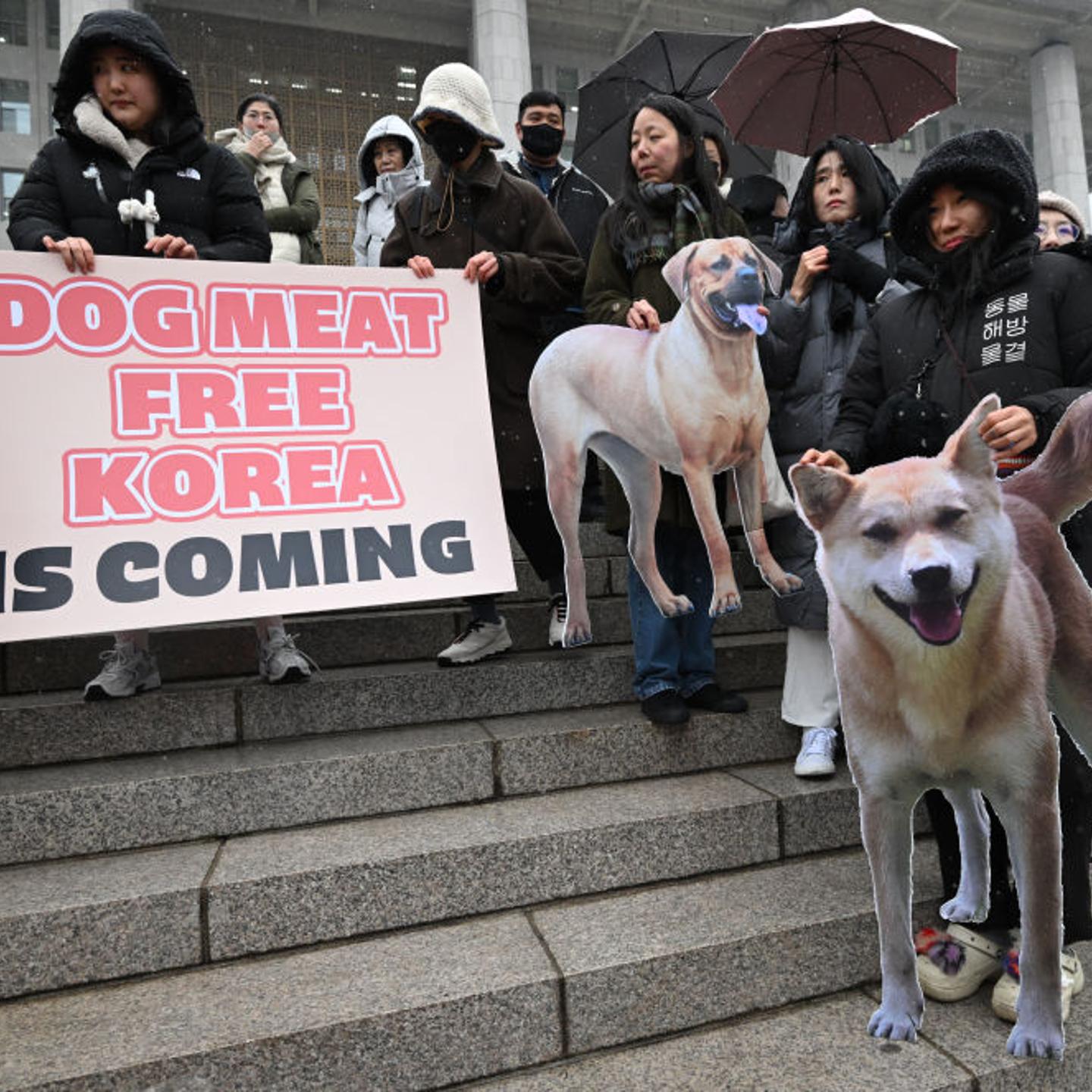 SKOREA-ANIMAL-DOG-RIGHTS