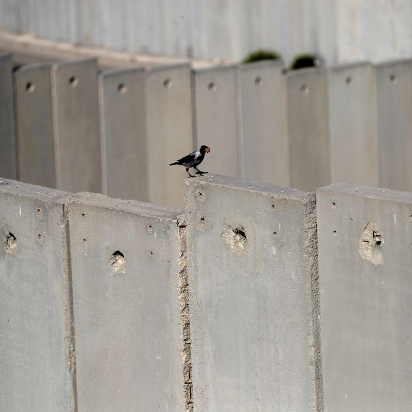 ISRAEL-PALESTINIAN-CONFLICT