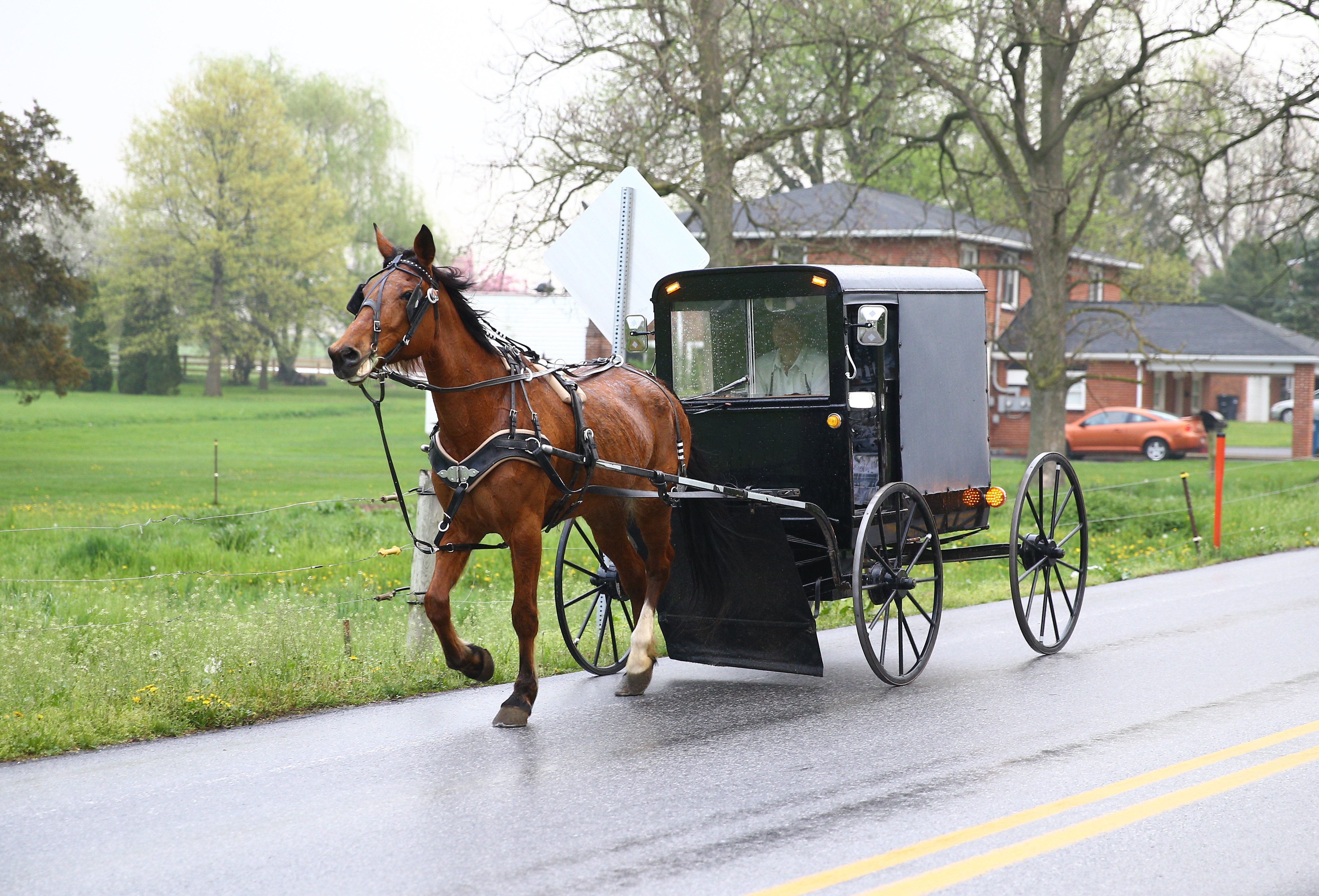 Central Pennsylvania, home to an iconic set of plain people, the Amish