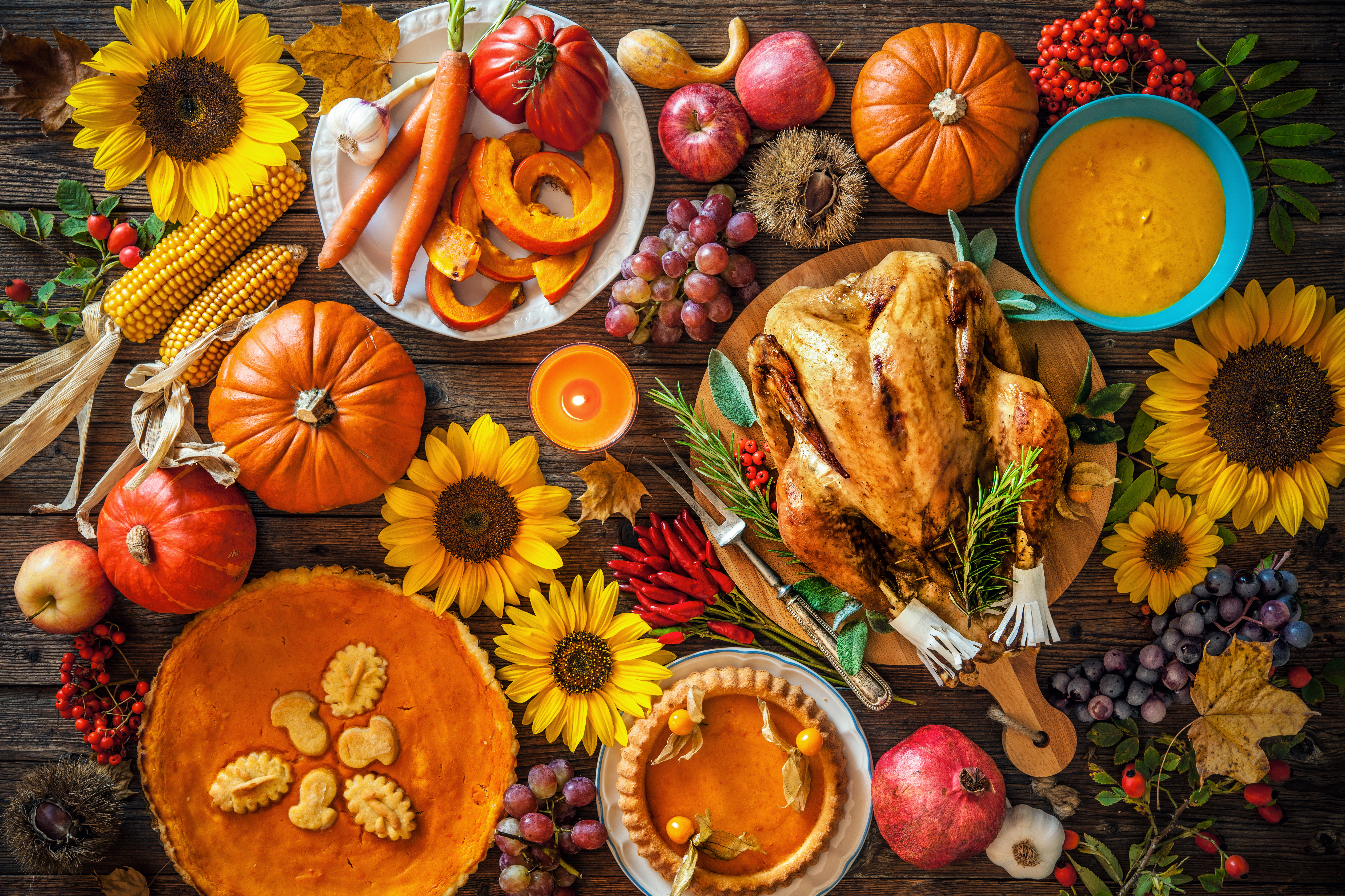 Roasted Thanksgiving Turkey