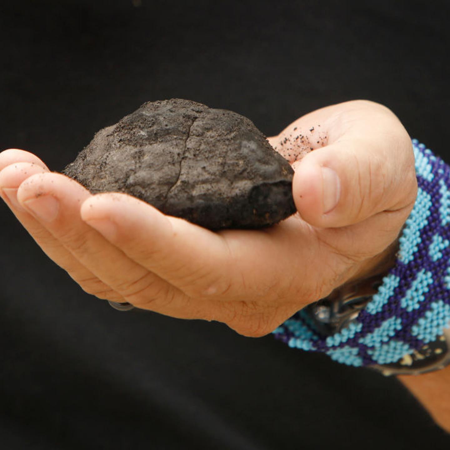 CEO of The Metals Company holds a nodule brought up from the sea floor. The company plans to mine the seafloor for these nodules in the Clarion Clipperton Zone of the Pacific Ocean.