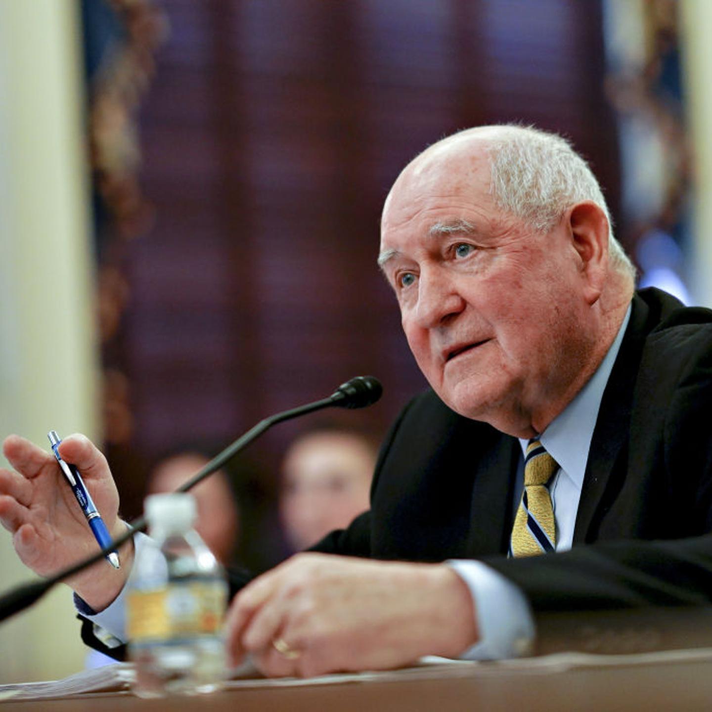 Agriculture Secretary Sonny Perdue Testifies Implementing Agriculture Improvement Act Of 2018
