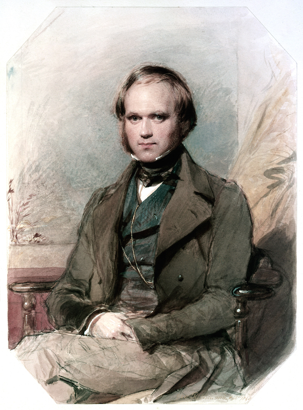 Portrait Of Charles Darwin