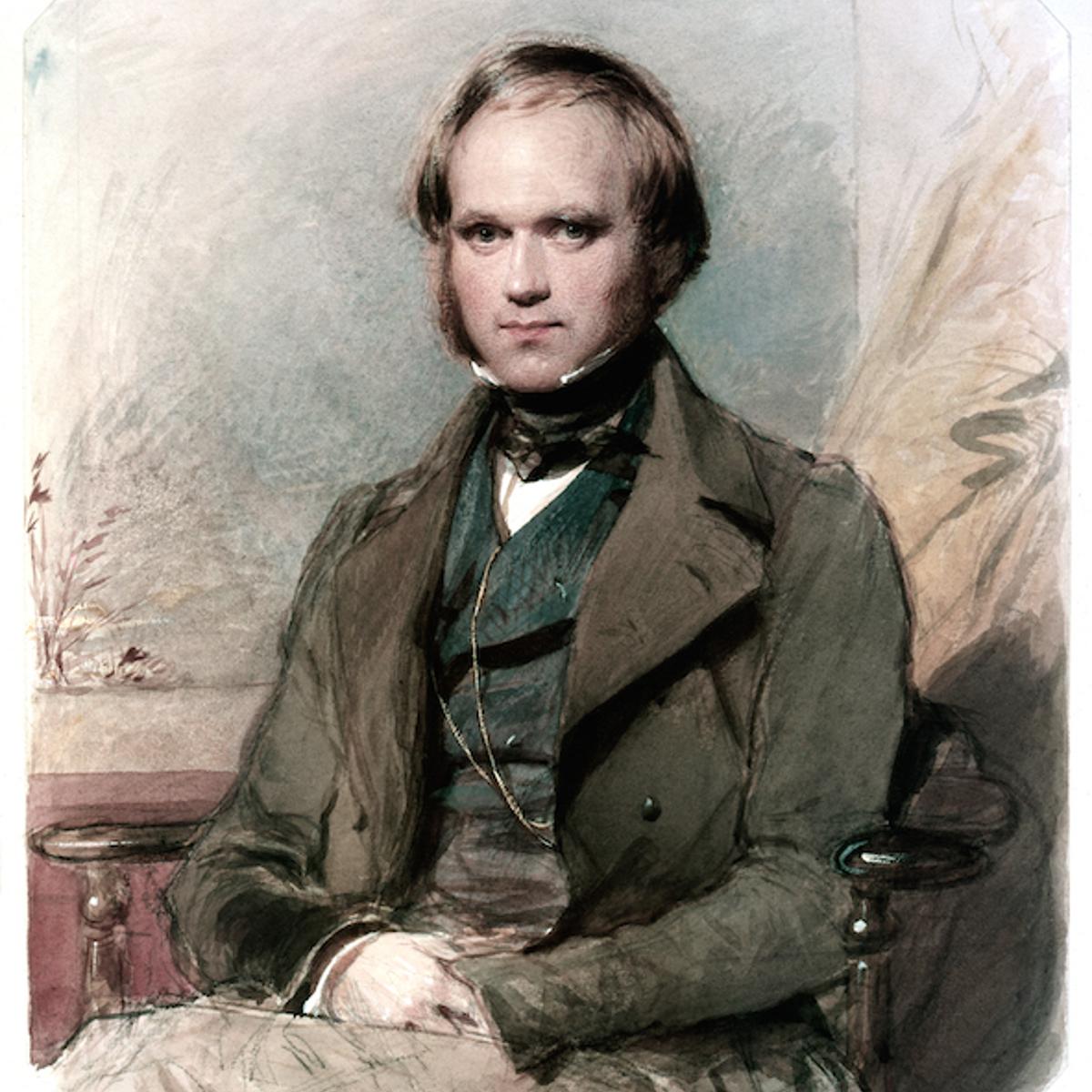 Portrait Of Charles Darwin