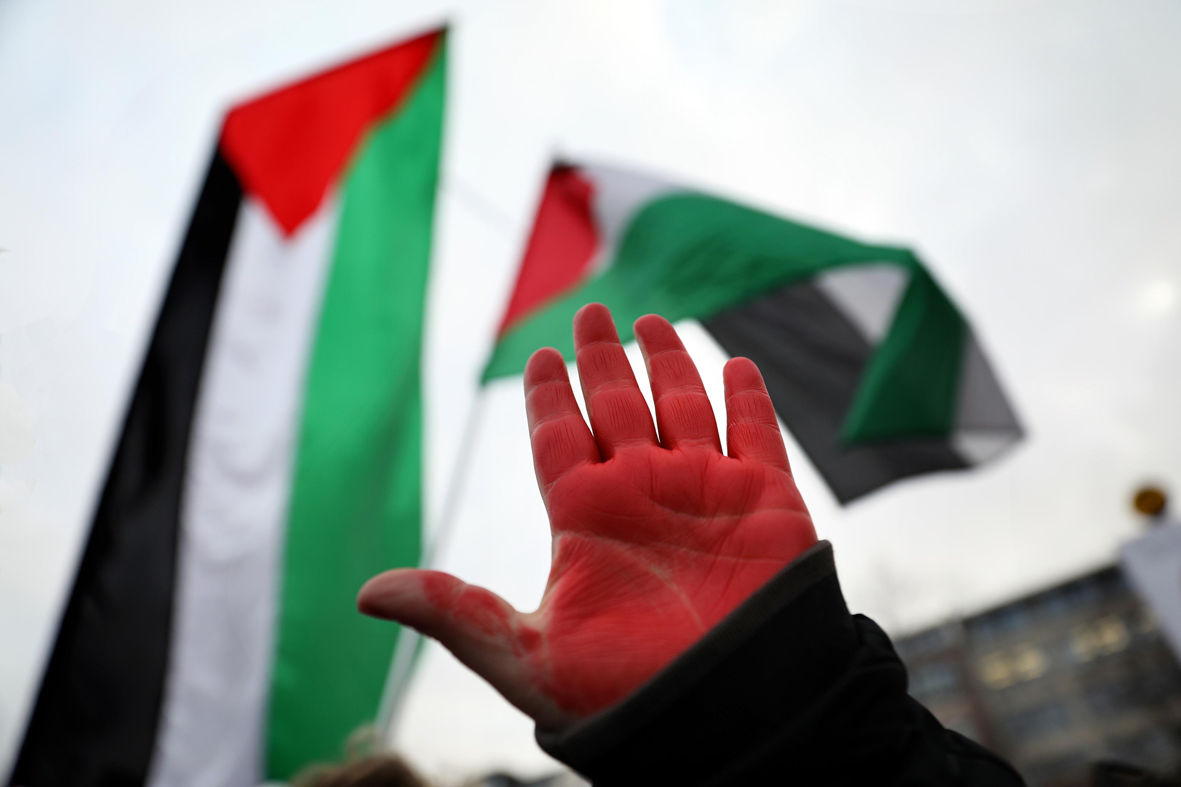 Pelastain Language Palestine and the Power of Language