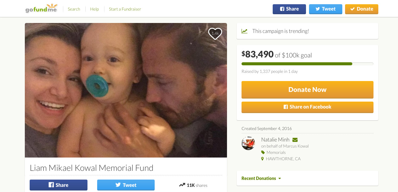 The Liam Mikael Kowal Memorial Fund gofundme page on Sept. 6, 2016.