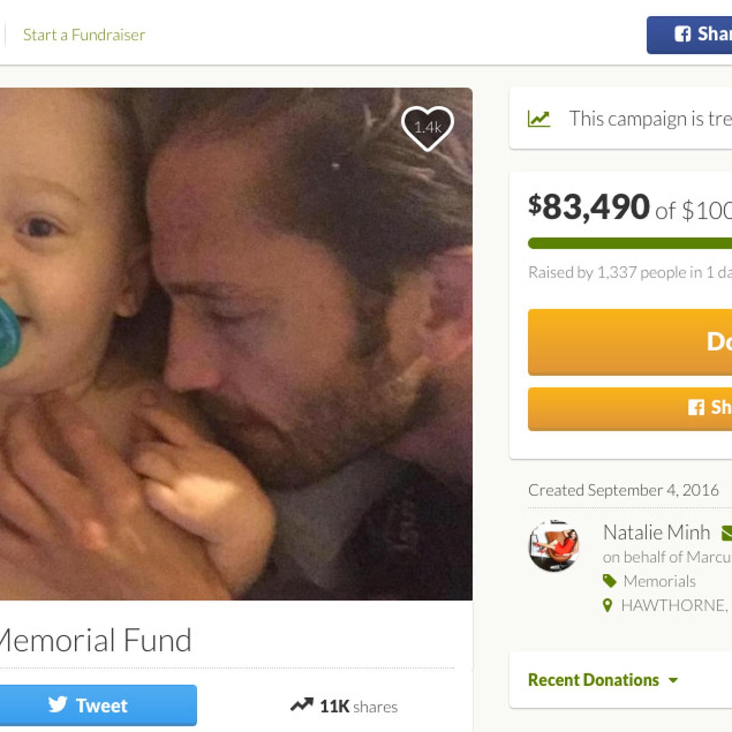 The Liam Mikael Kowal Memorial Fund gofundme page on Sept. 6, 2016.