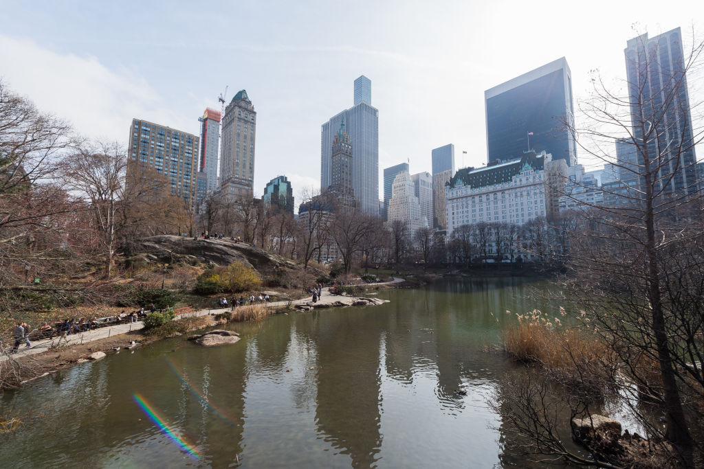 Central Park and New York Cityscape