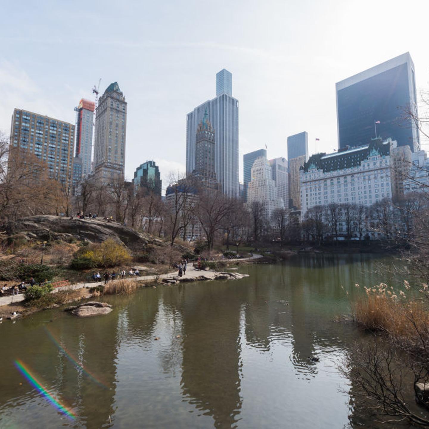 Central Park and New York Cityscape