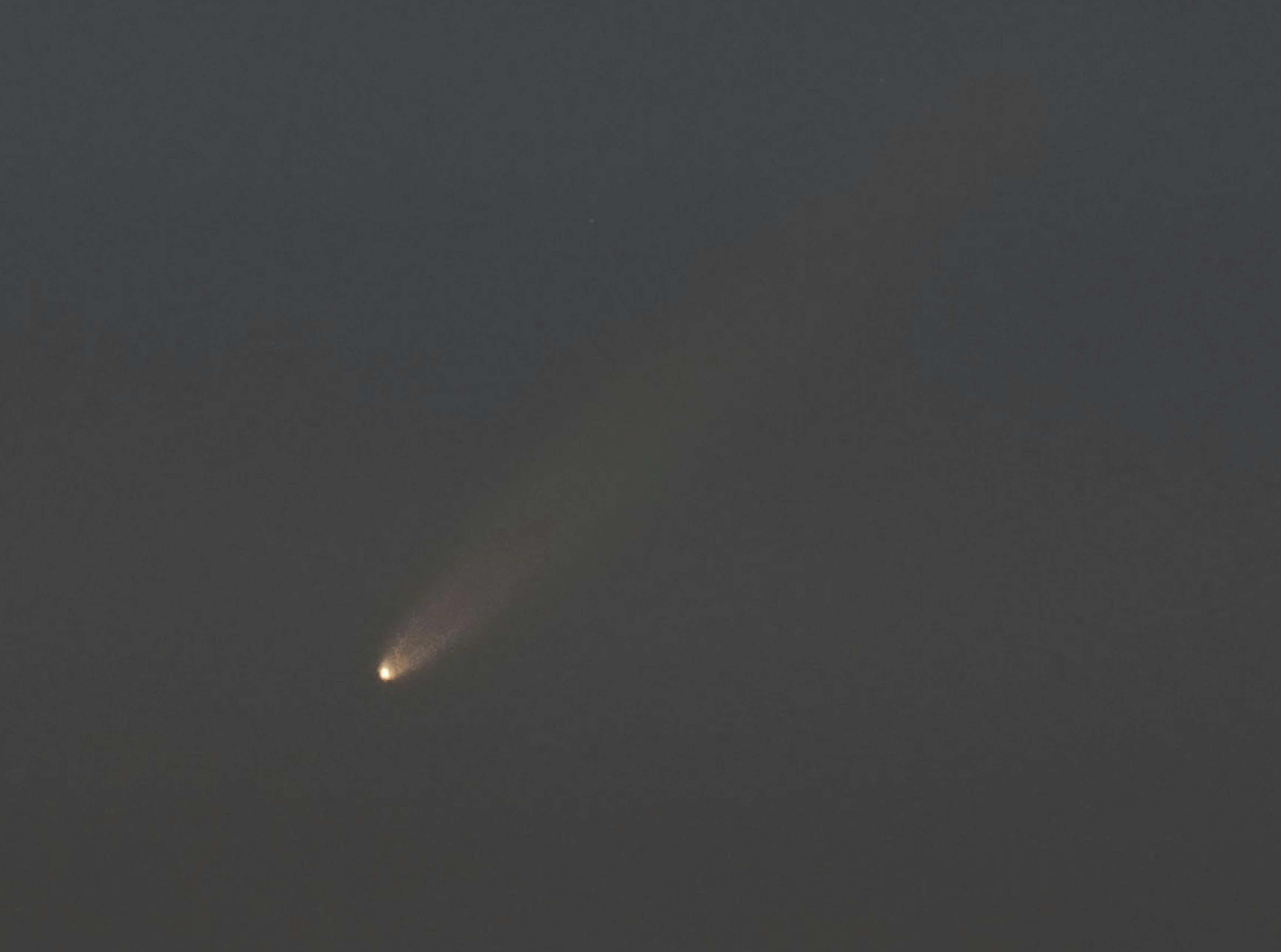 Comet observed in Japan