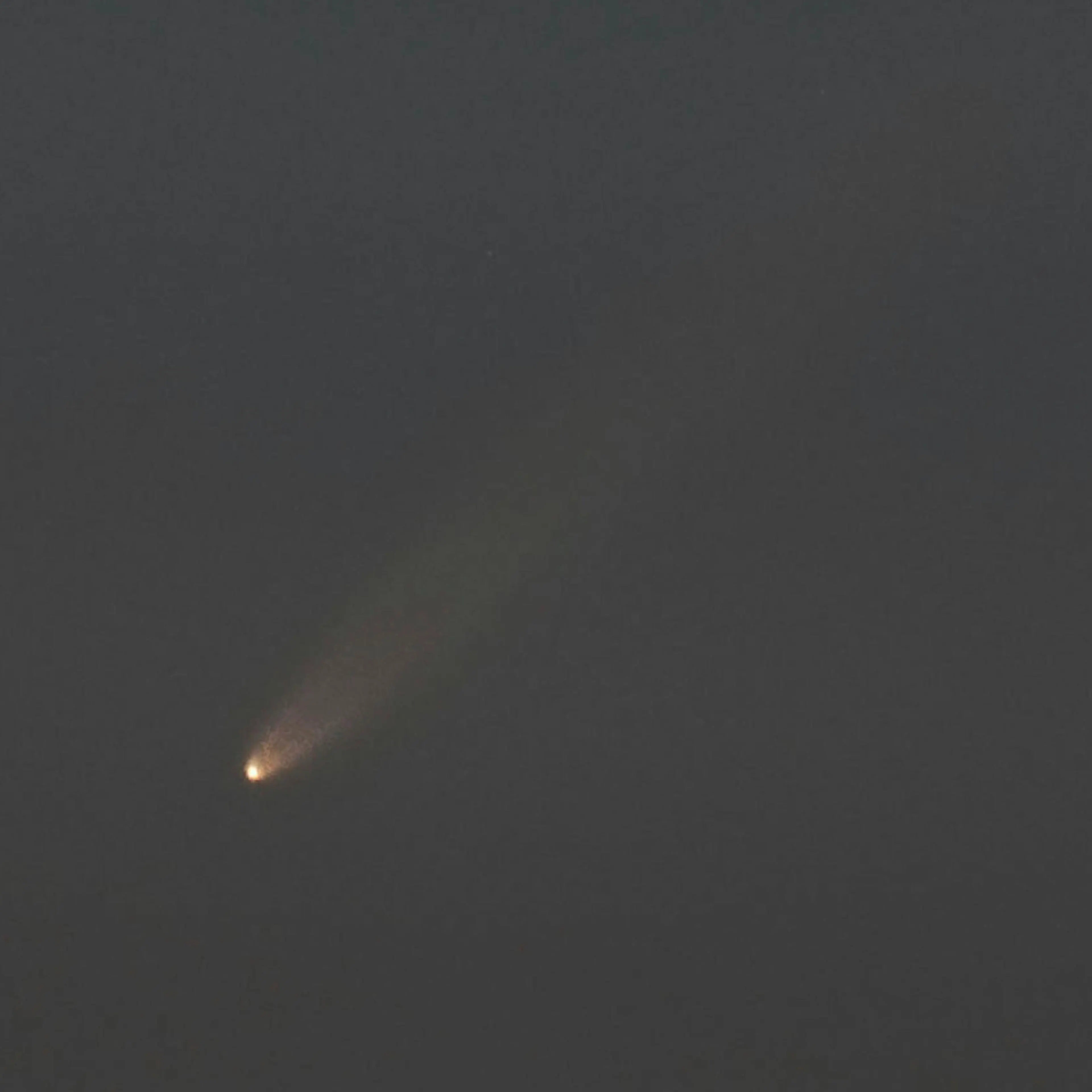 Comet observed in Japan