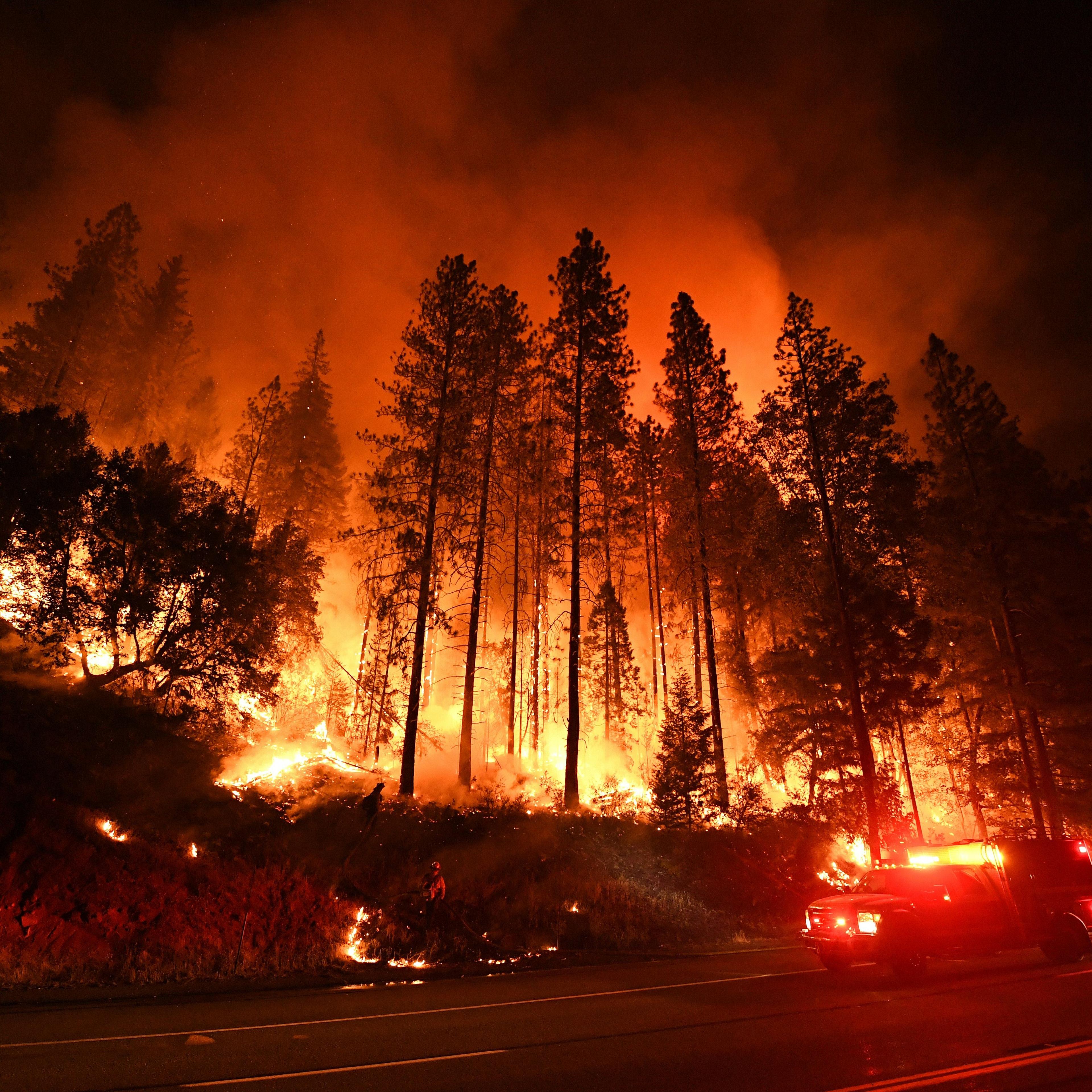 Trees ablaze amid the Carr fire in California