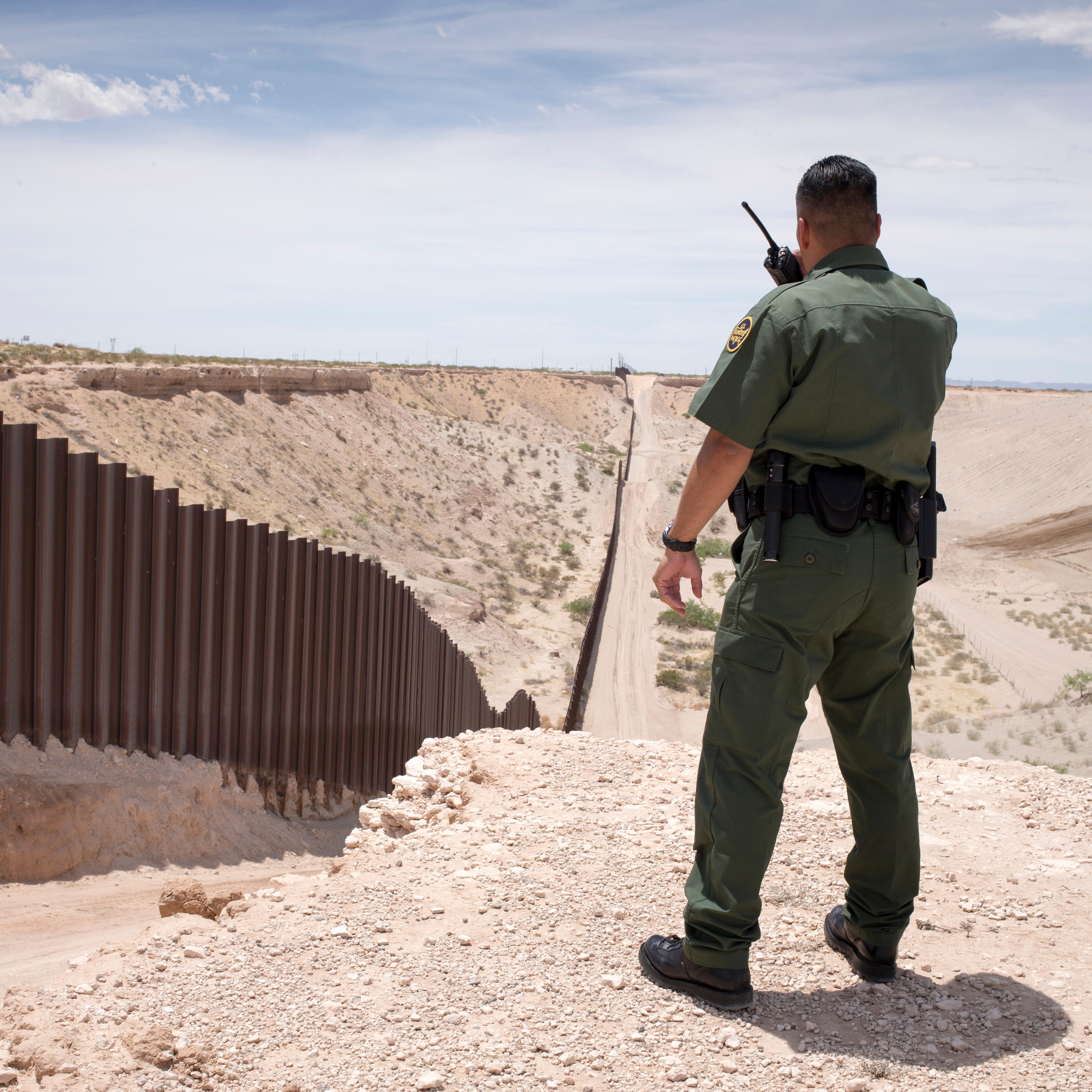 The Fence