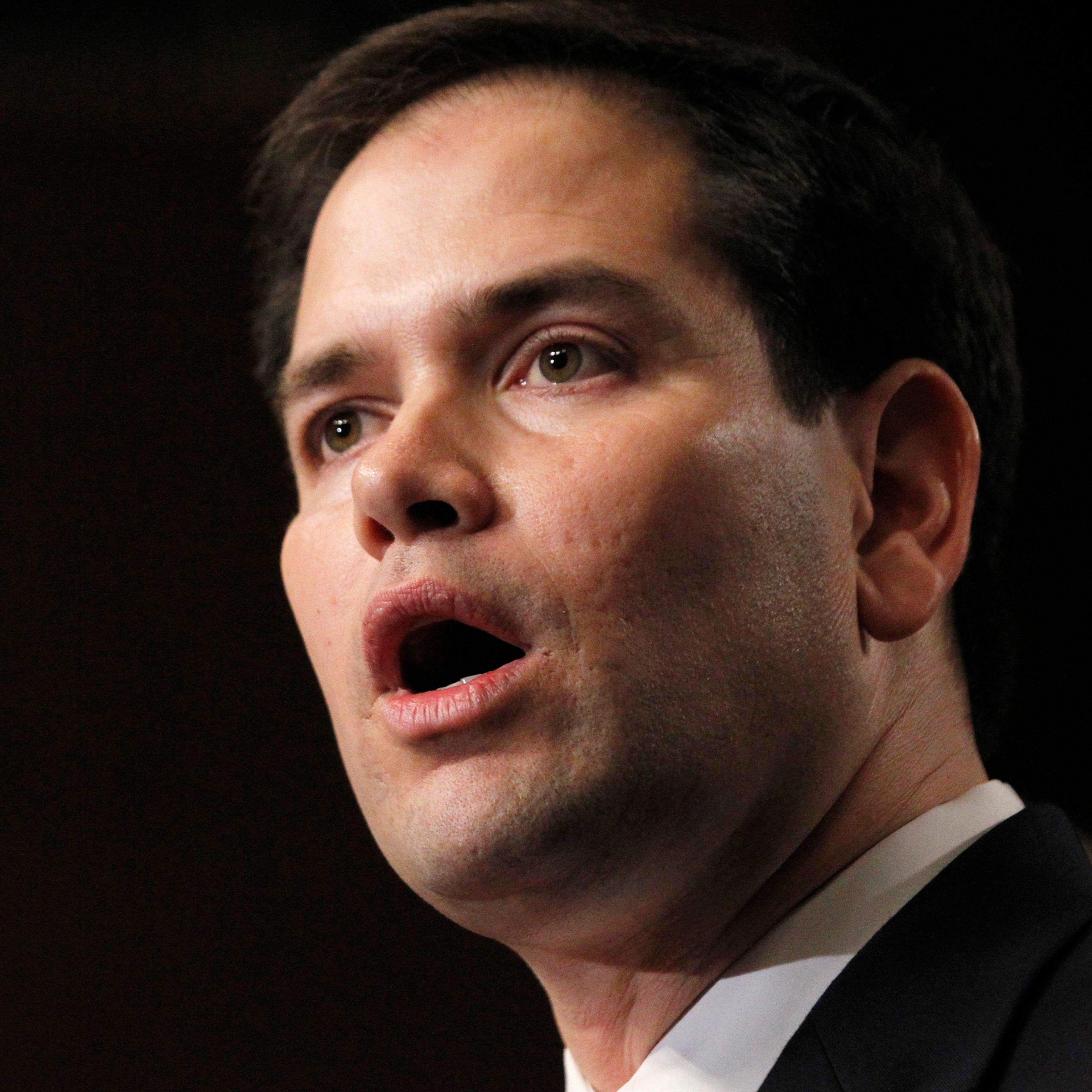 U.S. Senator Rubio, part of the U.S. Senate's "Gang on Eight", speaks during news briefing on Capitol Hill in Washington